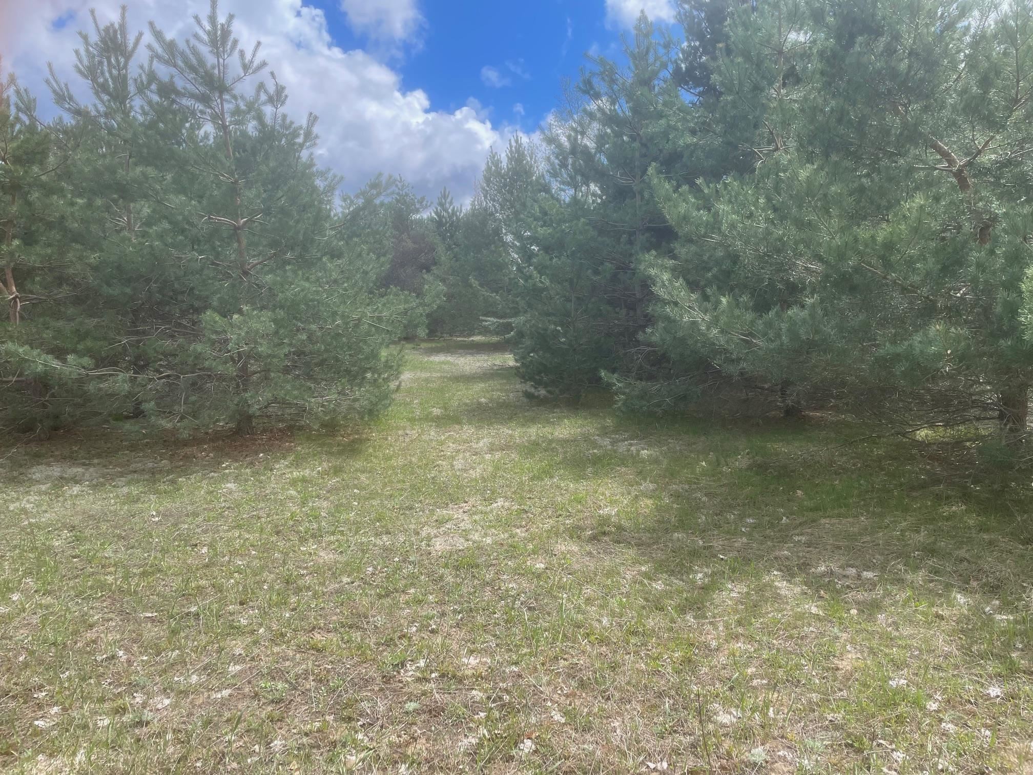 5th image of Honor Hwy, Interlochen, MI 49643 | MLS# 80065721