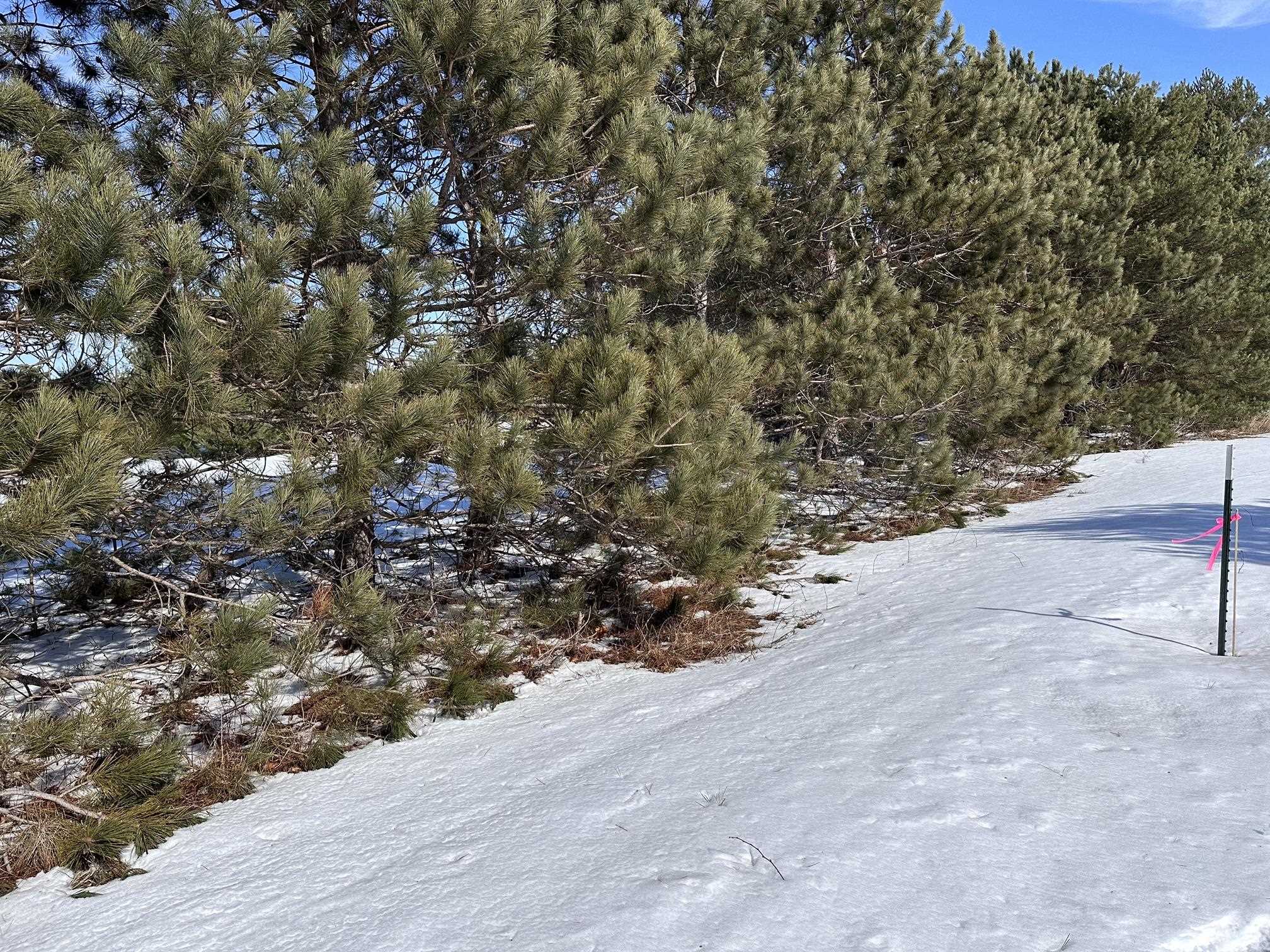 Interlochen, MI, 49643