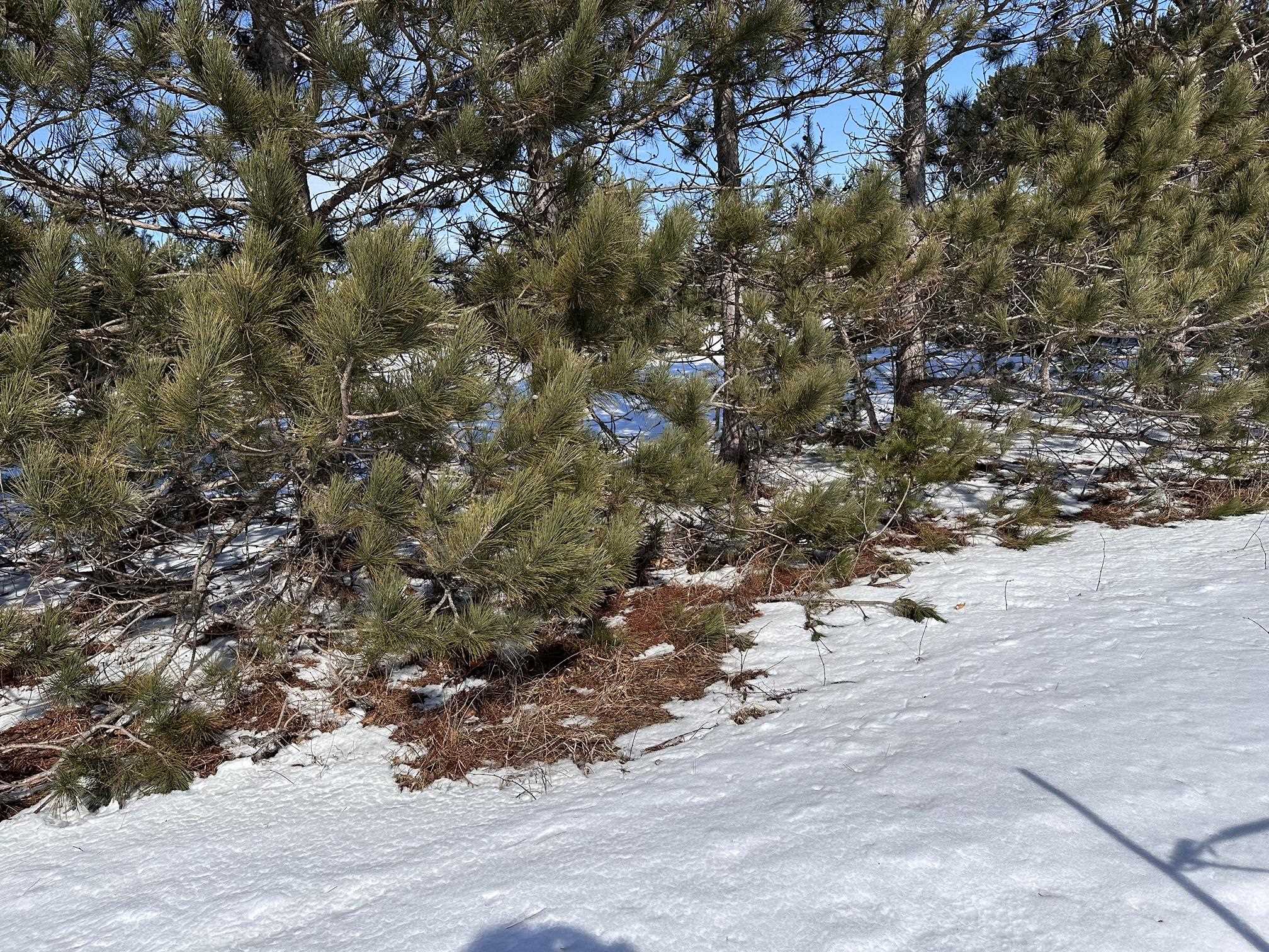 Interlochen, MI, 49643