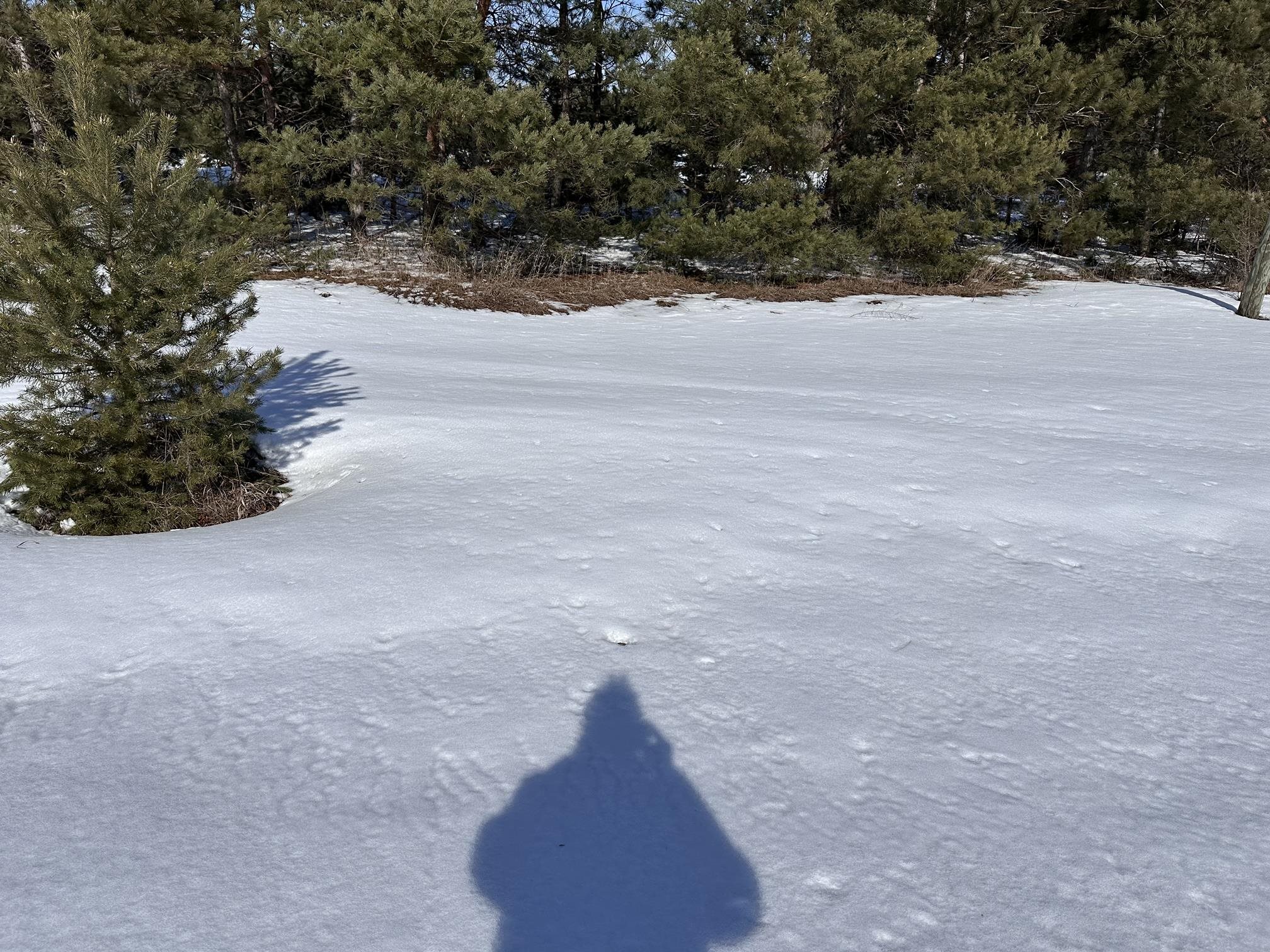 Honor Highway, Interlochen, MI, 49643