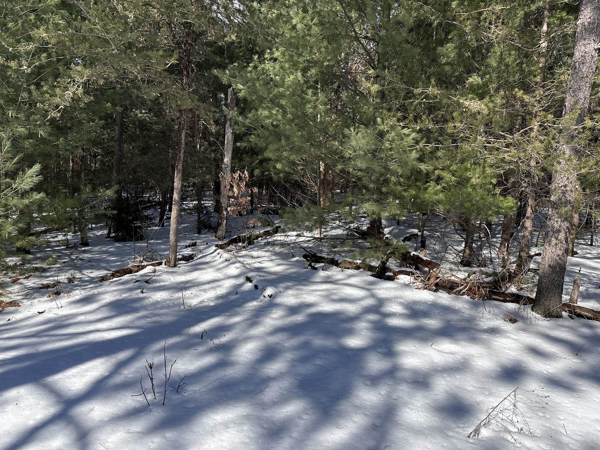 Honor Highway, Interlochen, MI, 49643