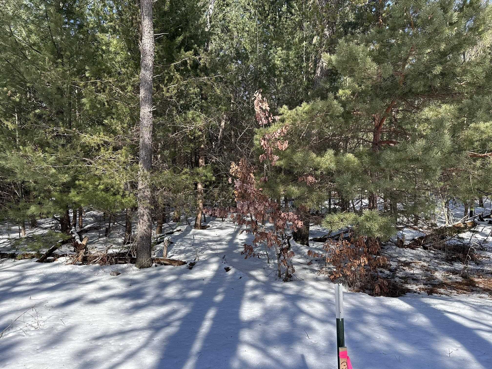 Honor Highway, Interlochen, MI, 49643