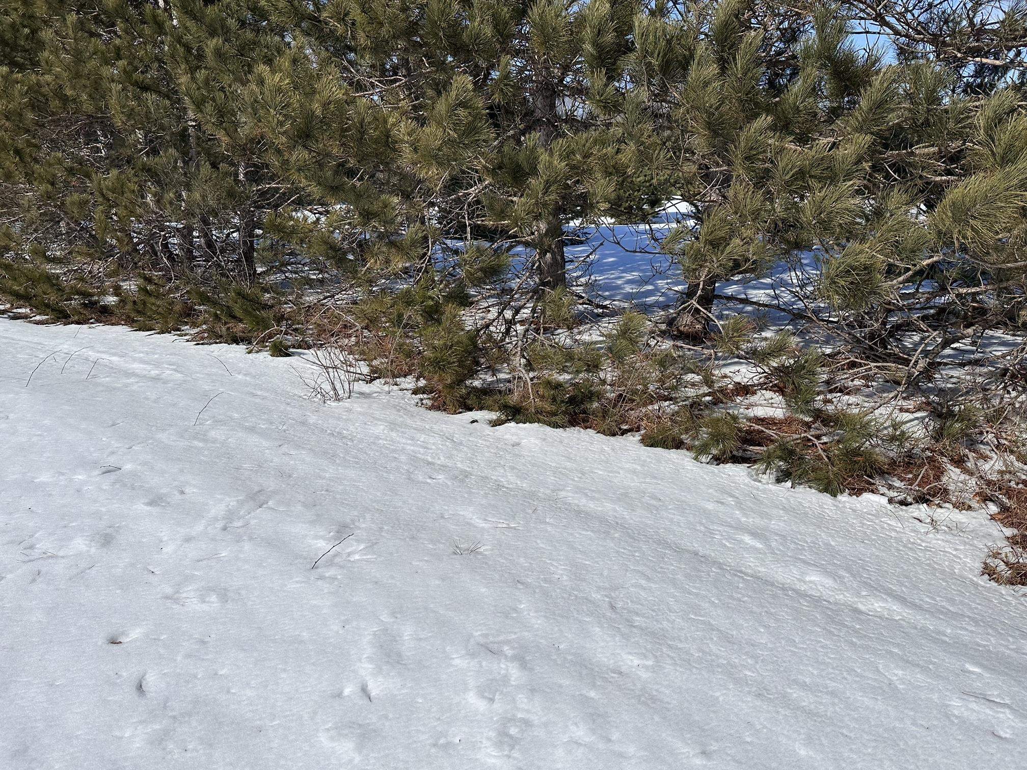 Interlochen, MI, 49643