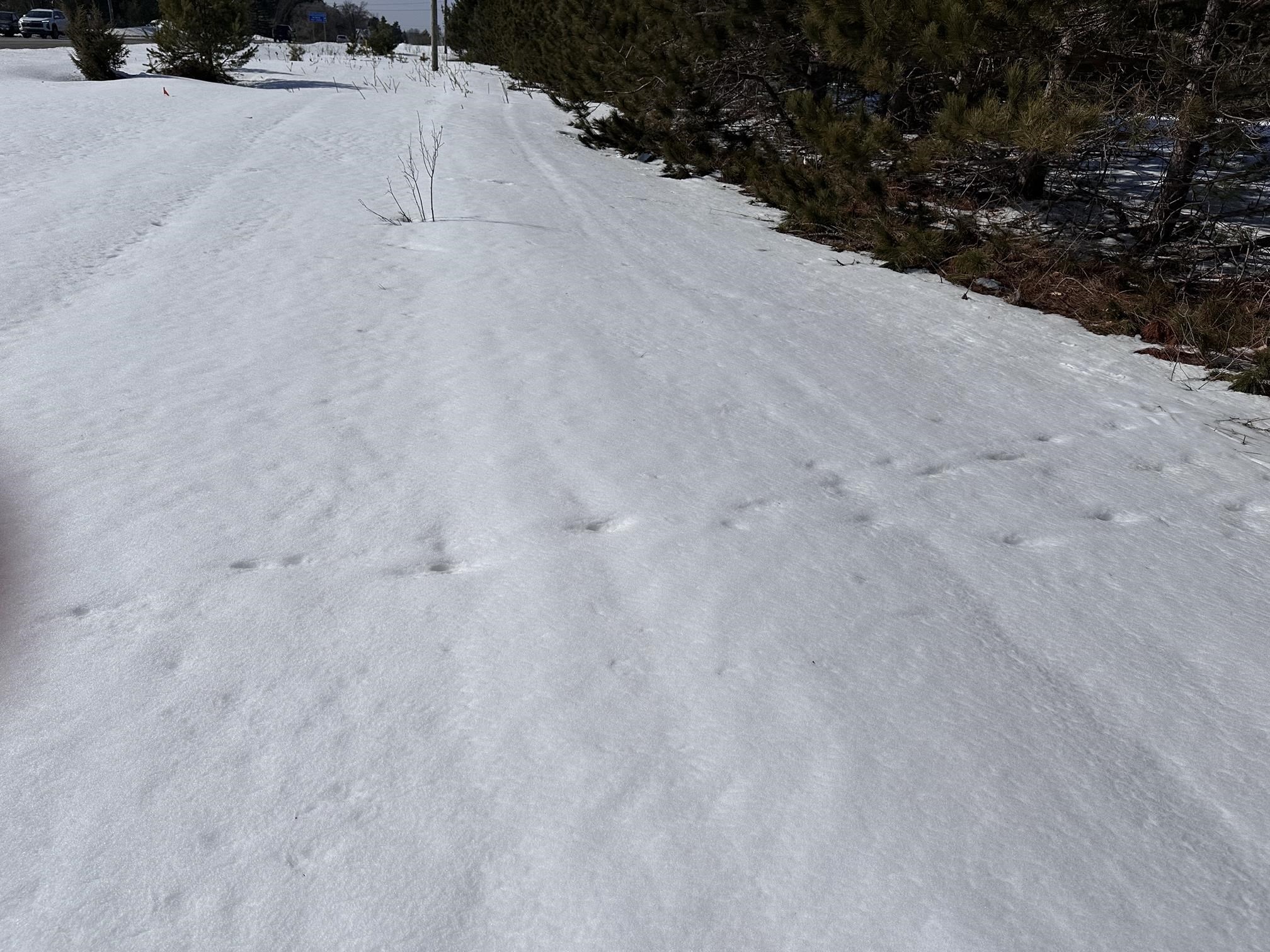 Interlochen, MI, 49643