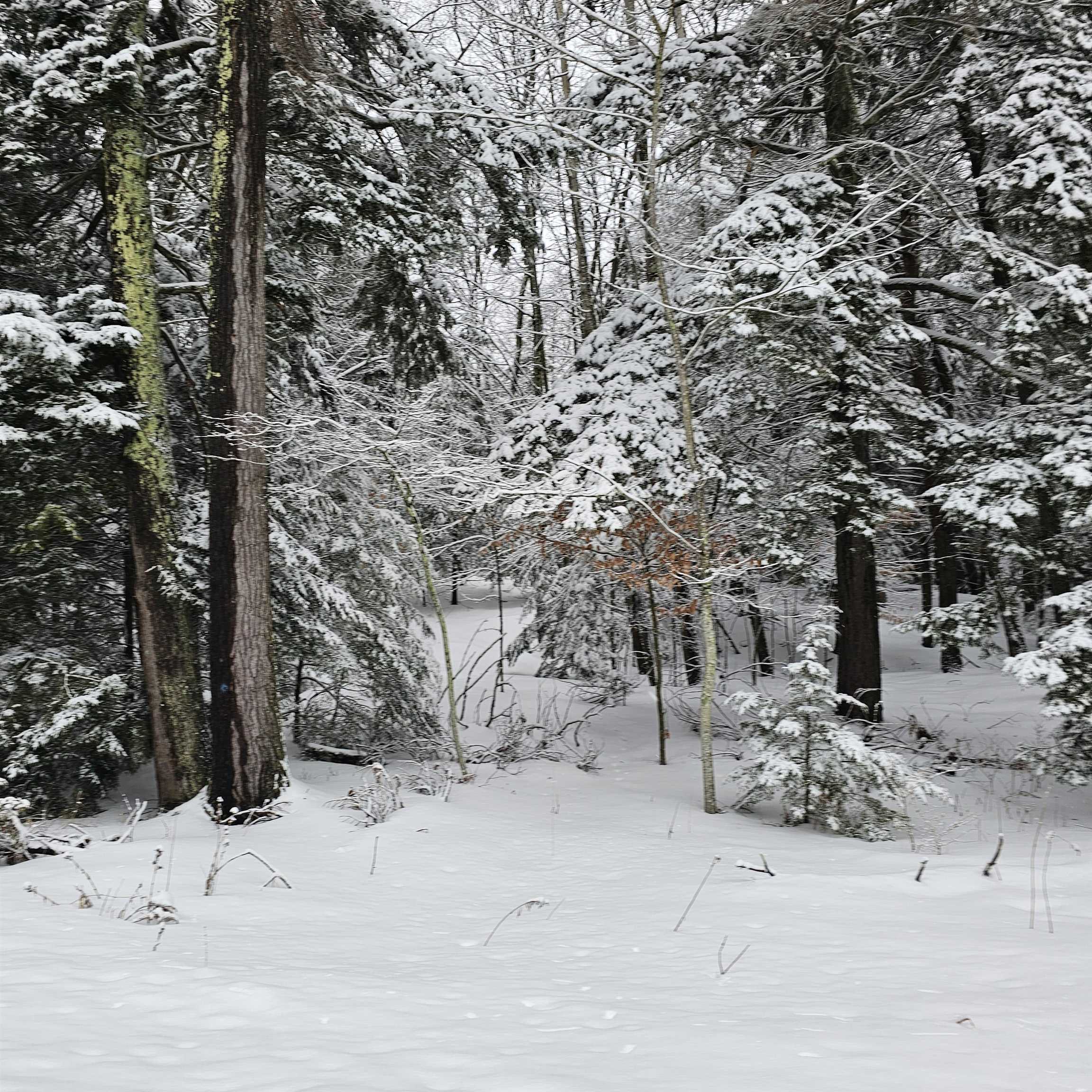 0 N Knollwood Drive, Northport, MI, 49670