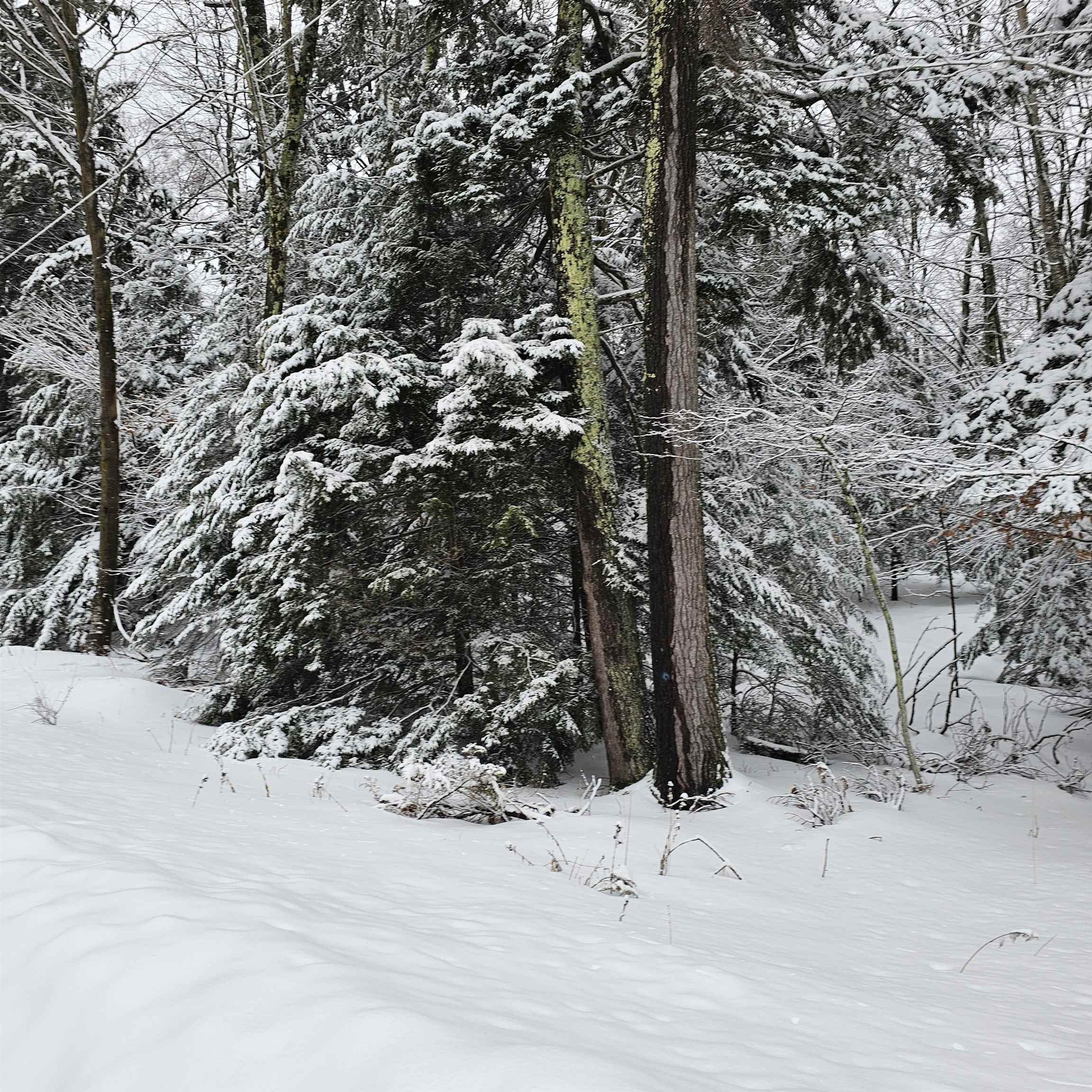 0 N Knollwood Drive, Northport, MI, 49670