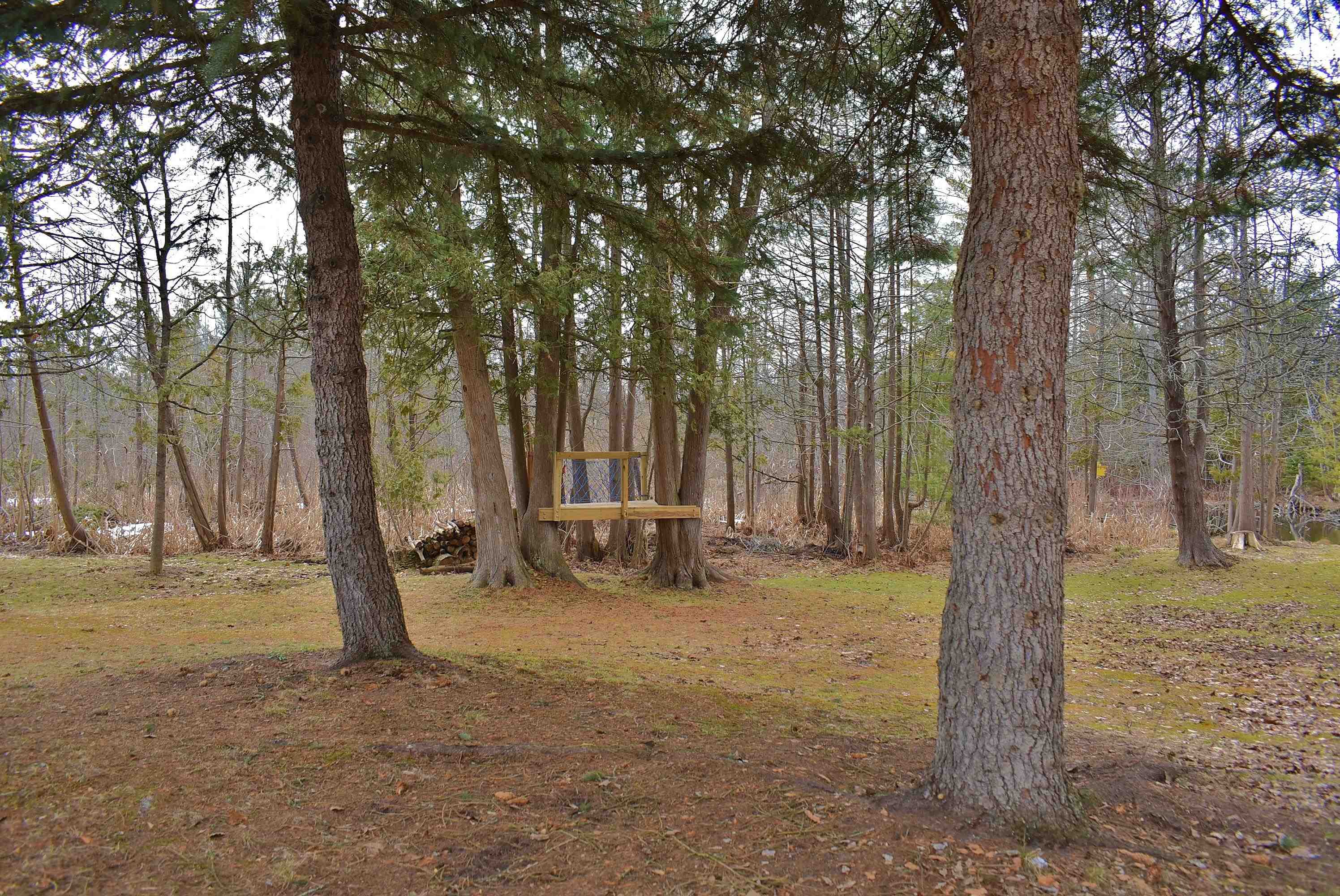 210 Spring Street, Kingsley, MI, 49649