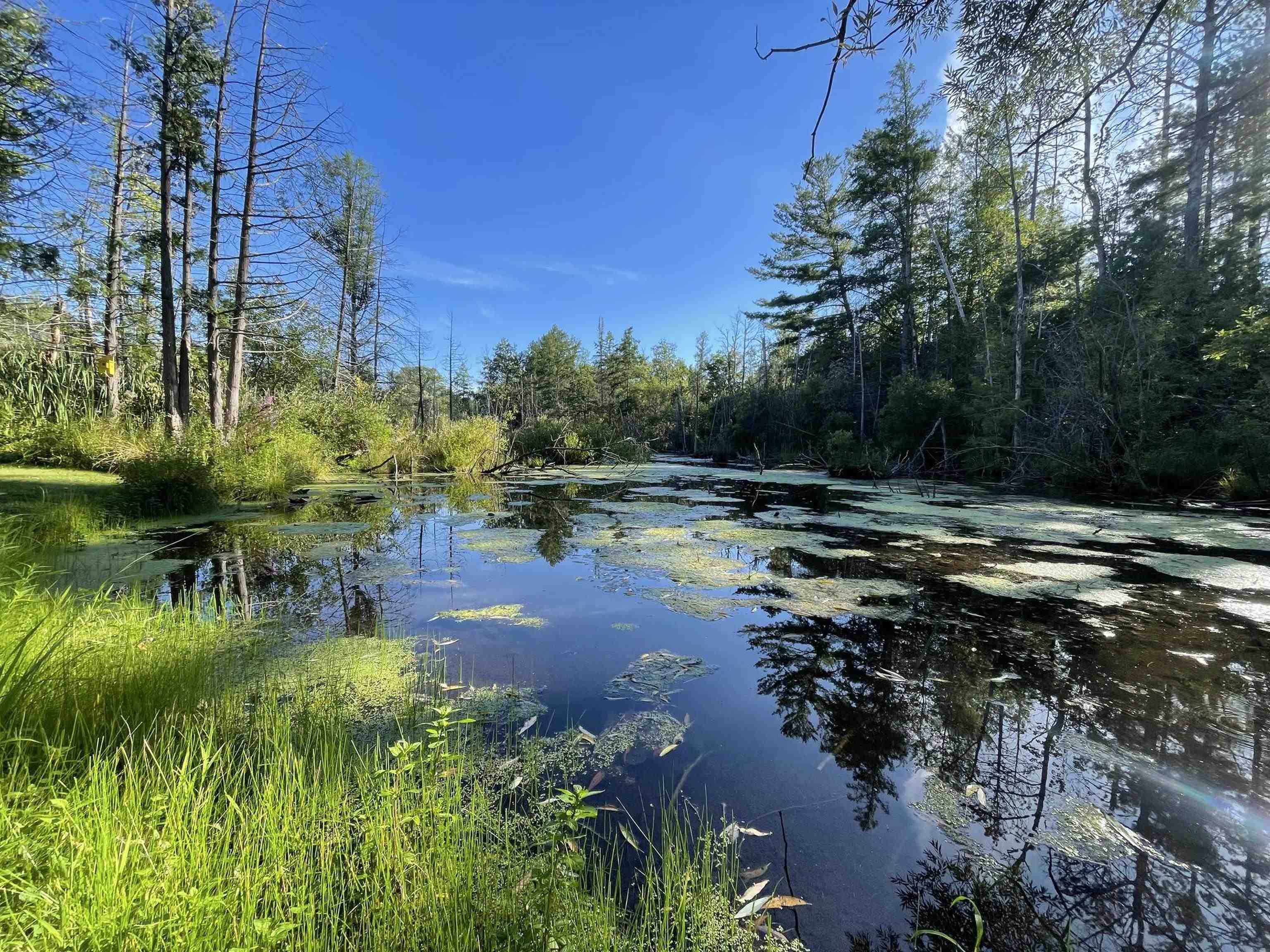 210 Spring Street, Kingsley, MI, 49649