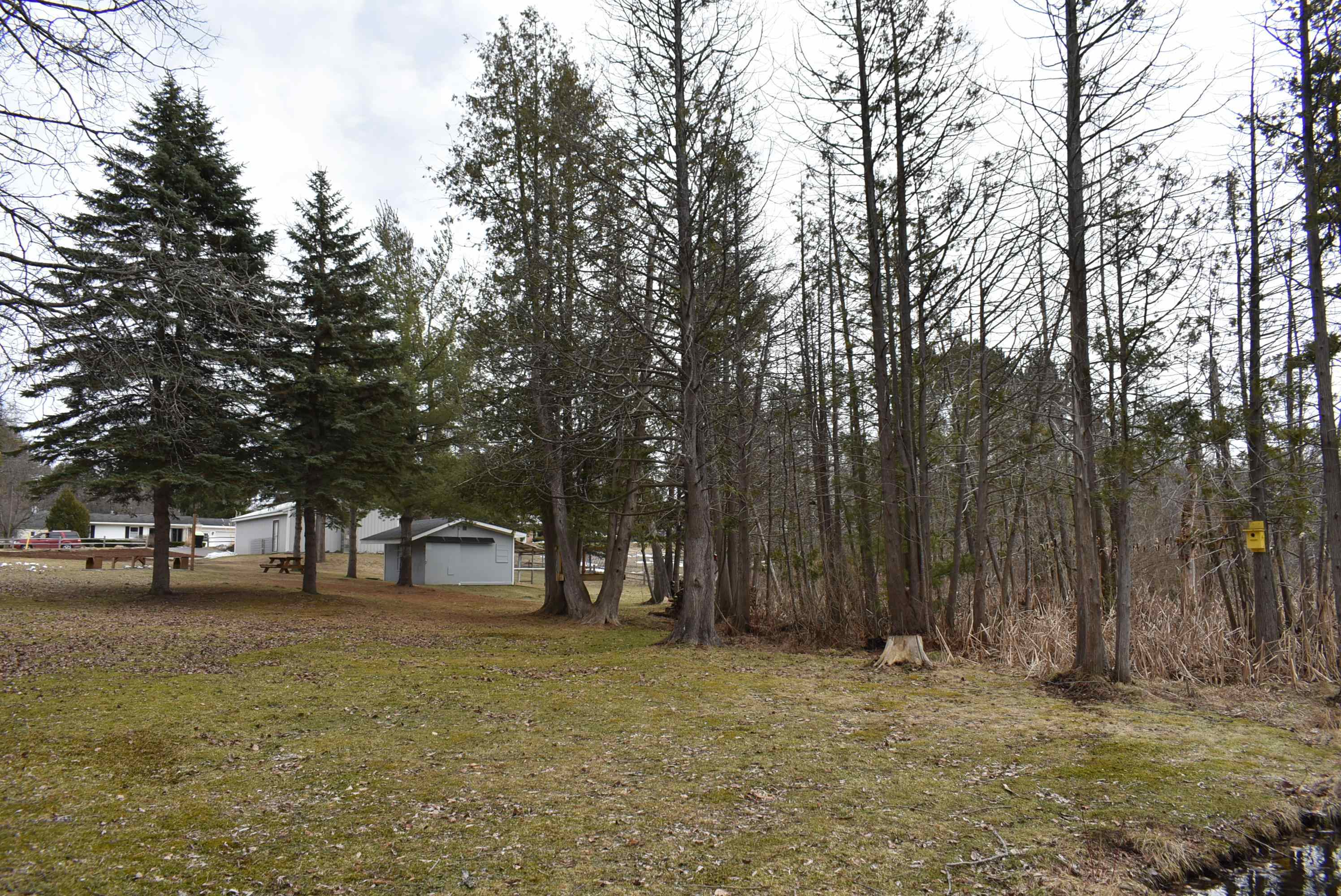 210 Spring Street, Kingsley, MI, 49649