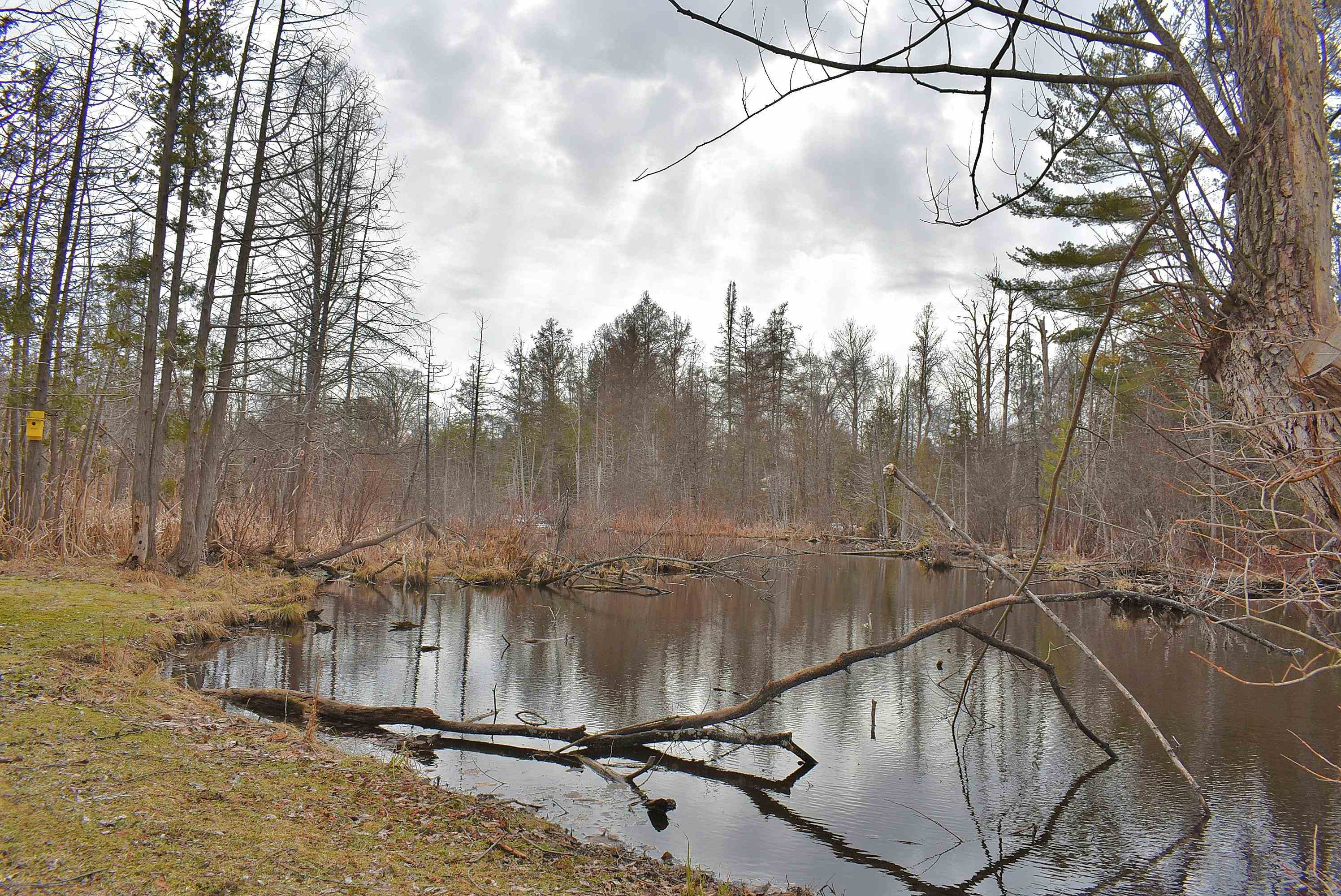 210 Spring Street, Kingsley, MI, 49649