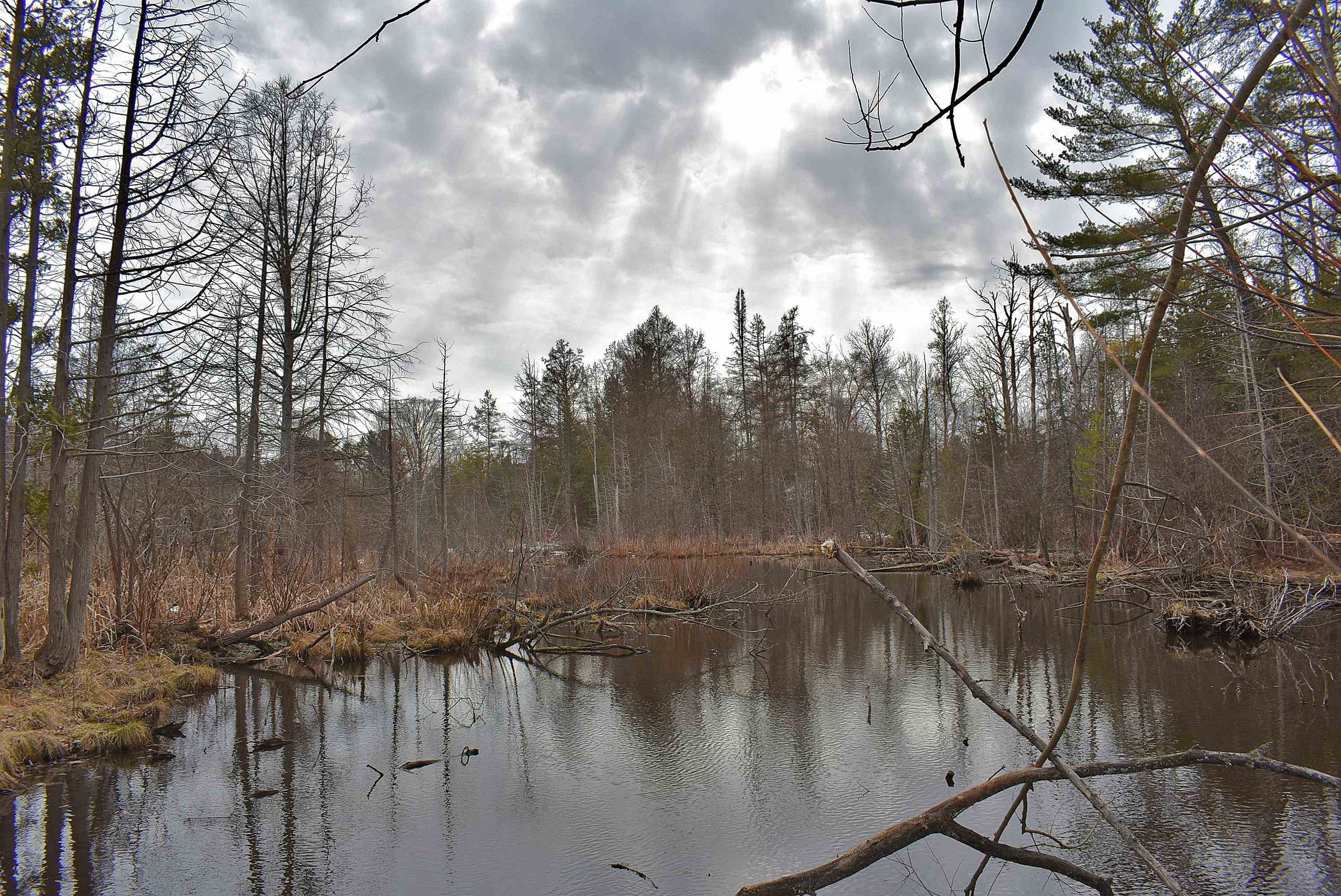 210 Spring Street, Kingsley, MI, 49649