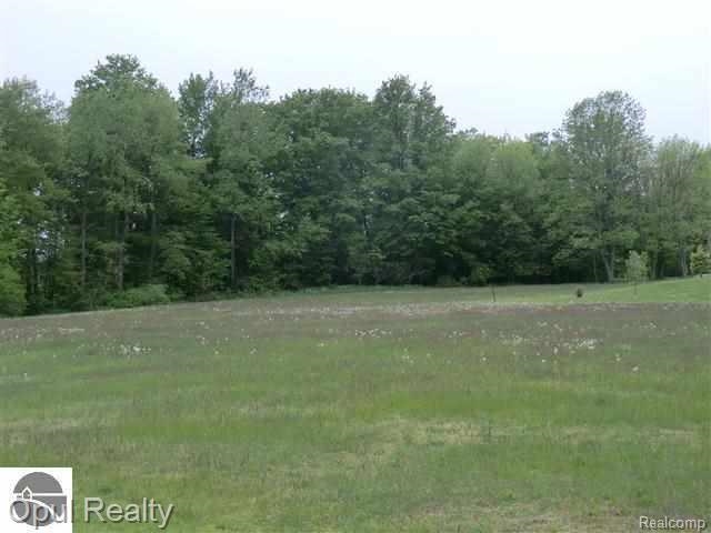Homes for sale in Arcadia, MI | Lot 29 Third St, Arcadia, MI 49613 | MLS# 80065755