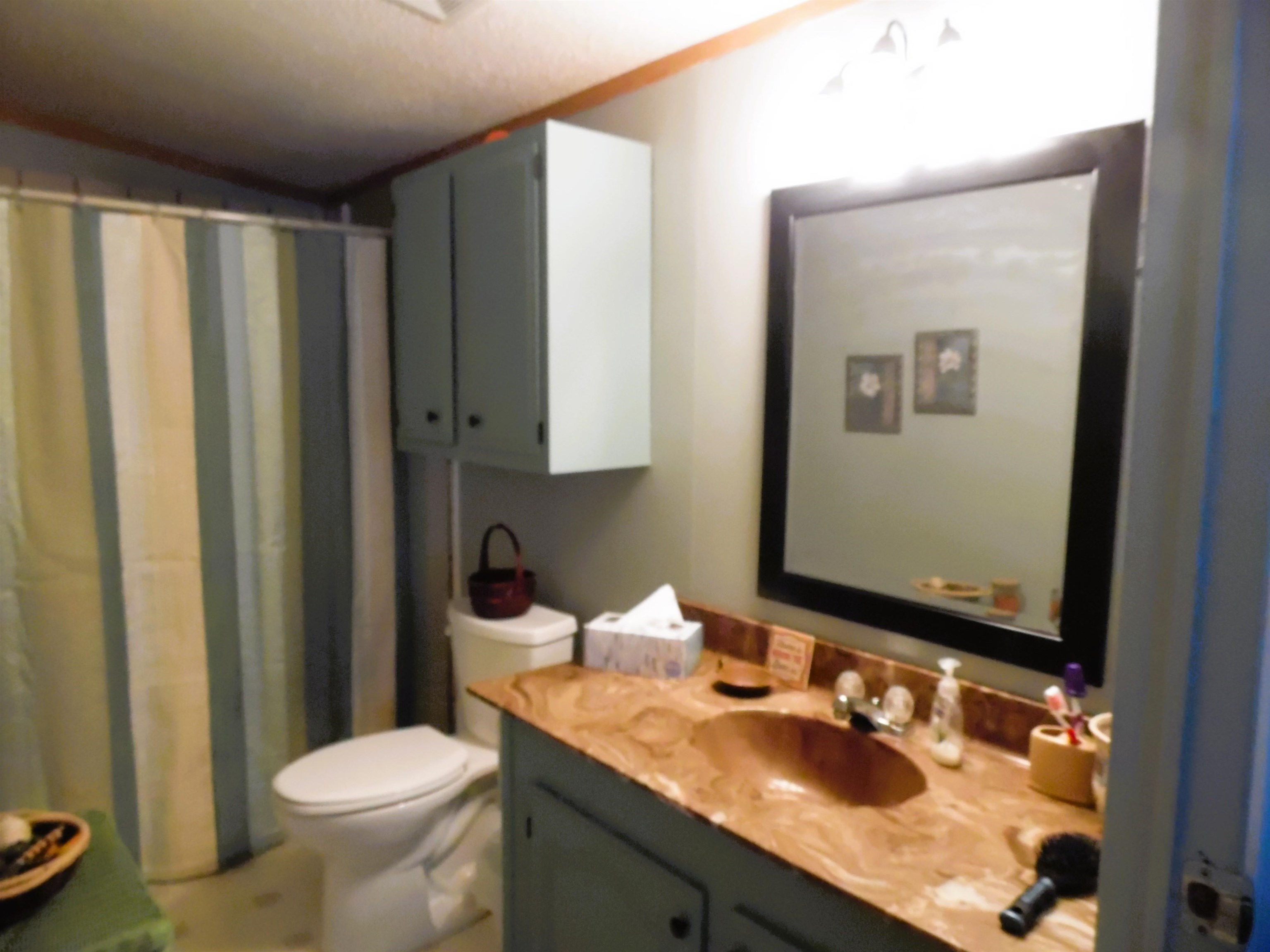 6213 Hillside Drive, Alger, MI, 48610