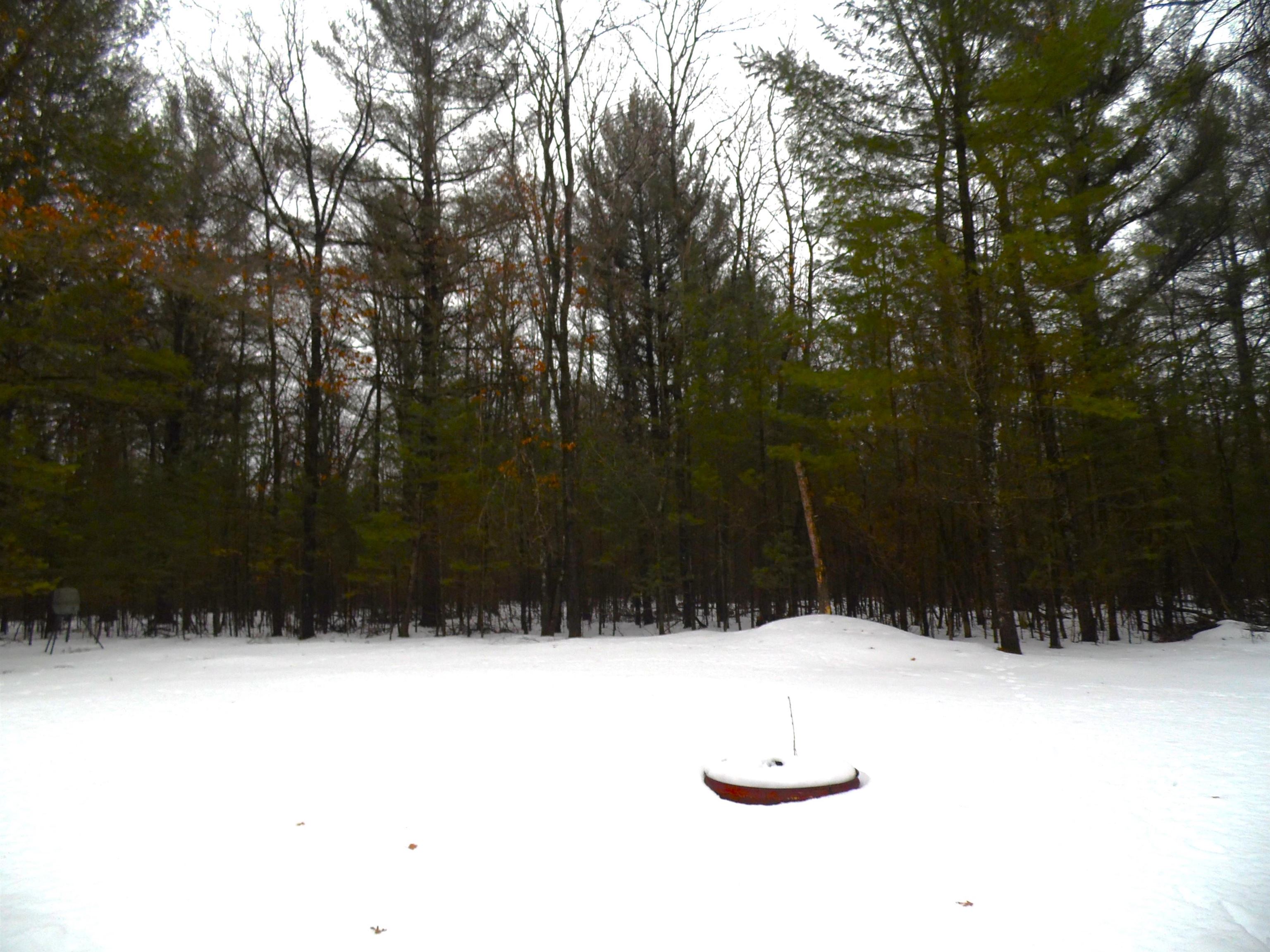 6213 Hillside Drive, Alger, MI, 48610