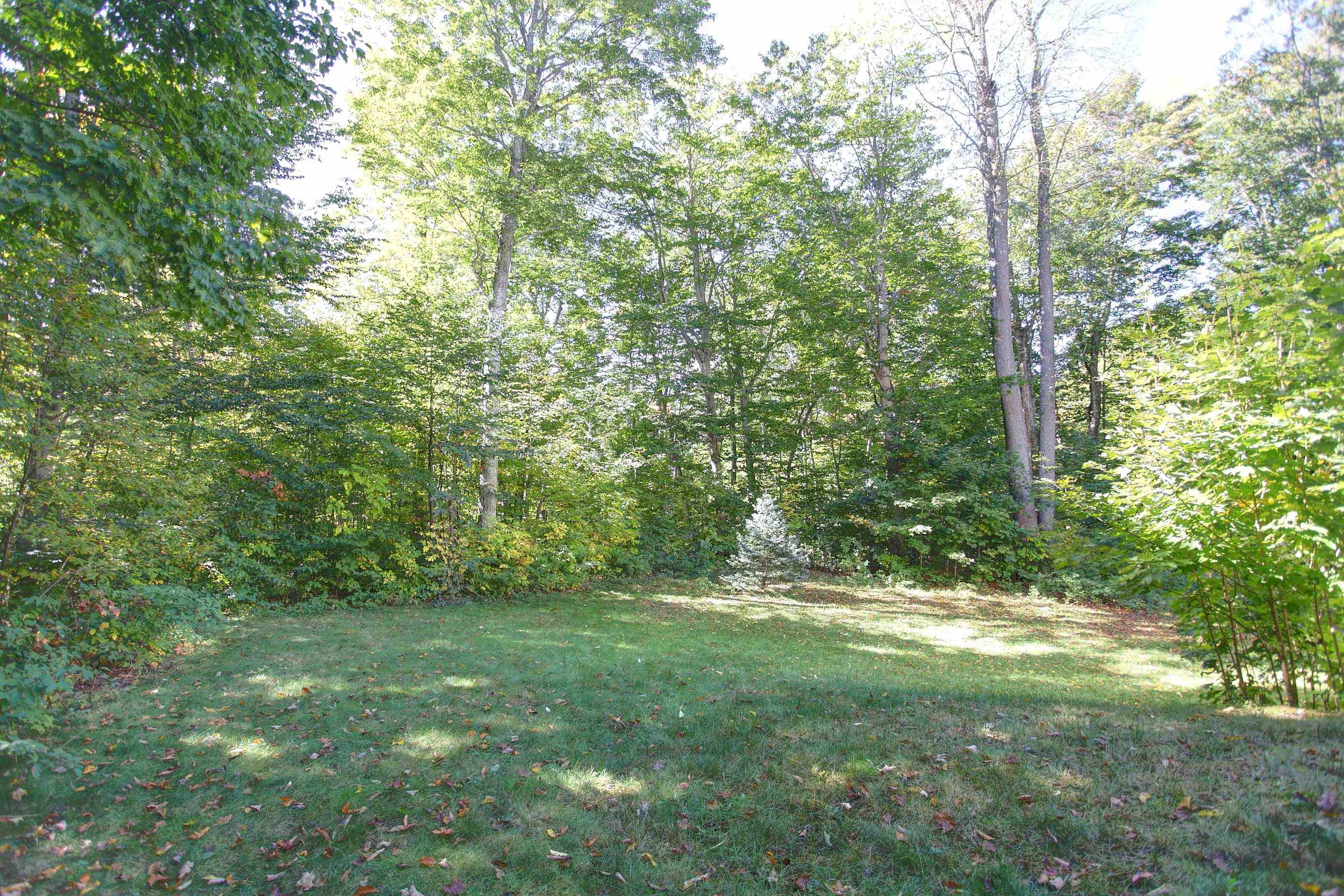 12900 S Woodhaven Lane, Traverse City, MI, 49684