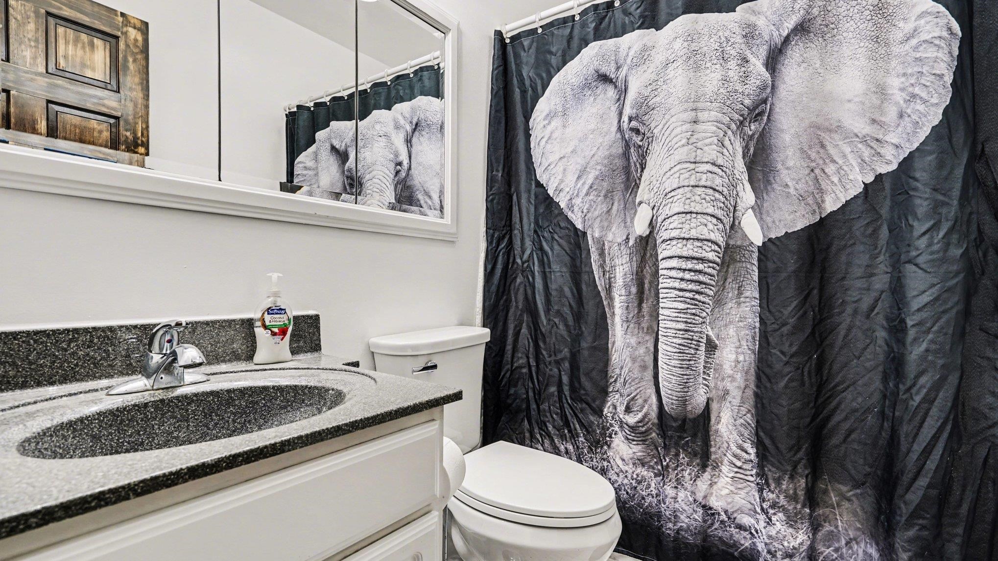 Mount Pleasant, MI, 48858