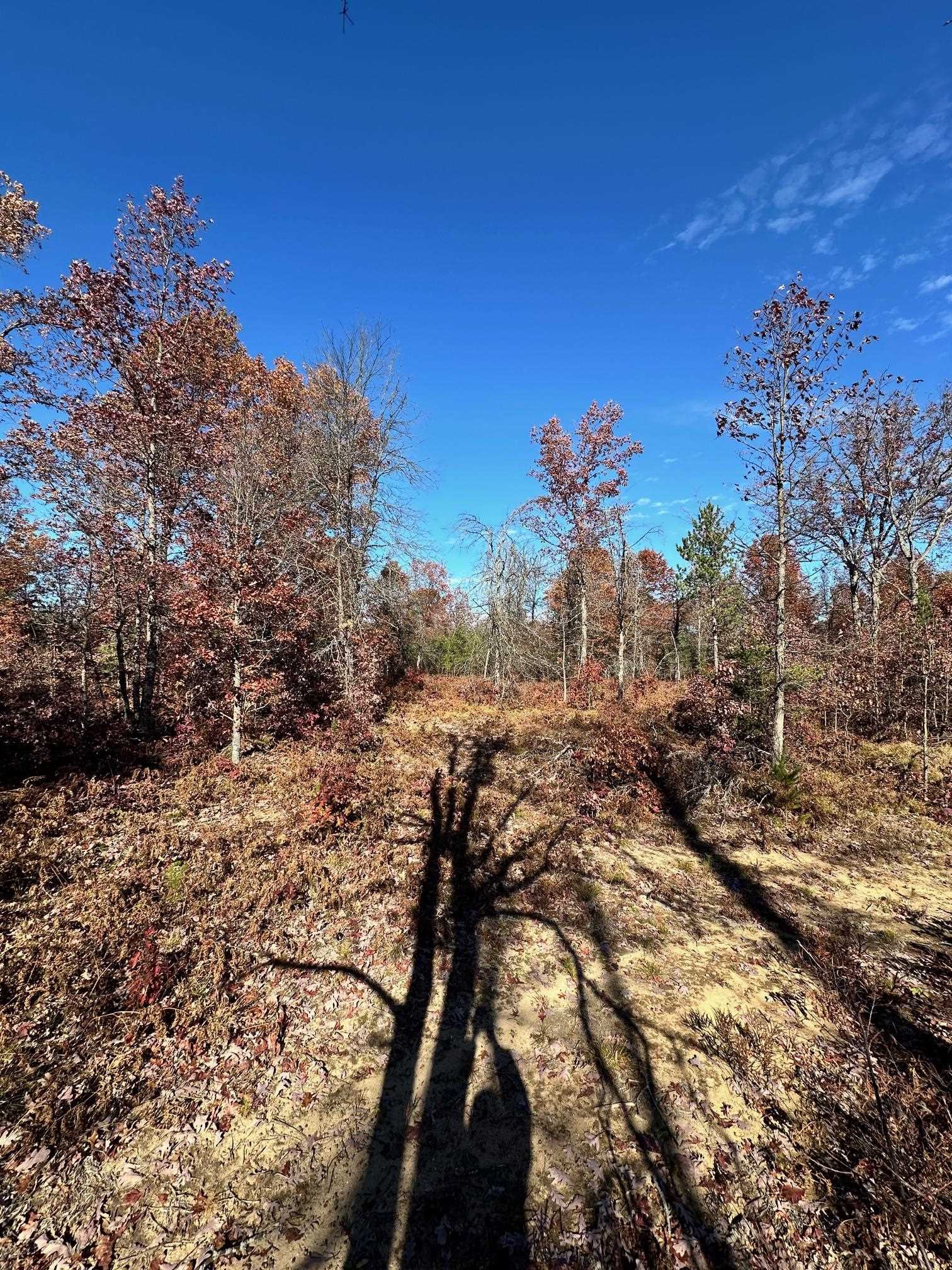 Homes for sale in Fife Lake Township Grand Traverse, MI | 11664 Revord Rd, Fife Lake Township Grand Traverse, MI 49633 | MLS# 78080065807