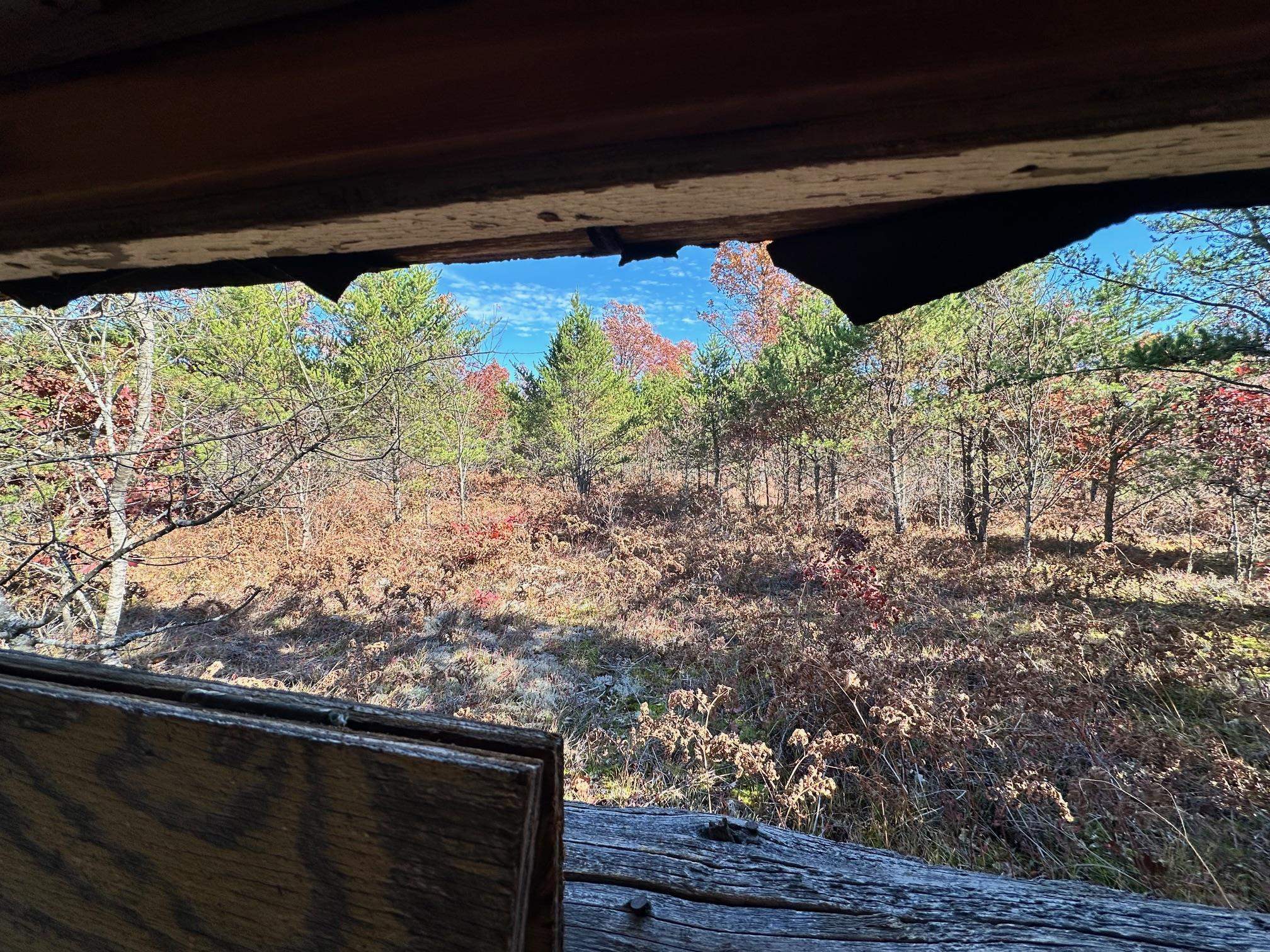 Homes for sale in Fife Lake Township Grand Traverse, MI | 11664 Revord Rd, Fife Lake Township Grand Traverse, MI 49633 | MLS# 78080065807