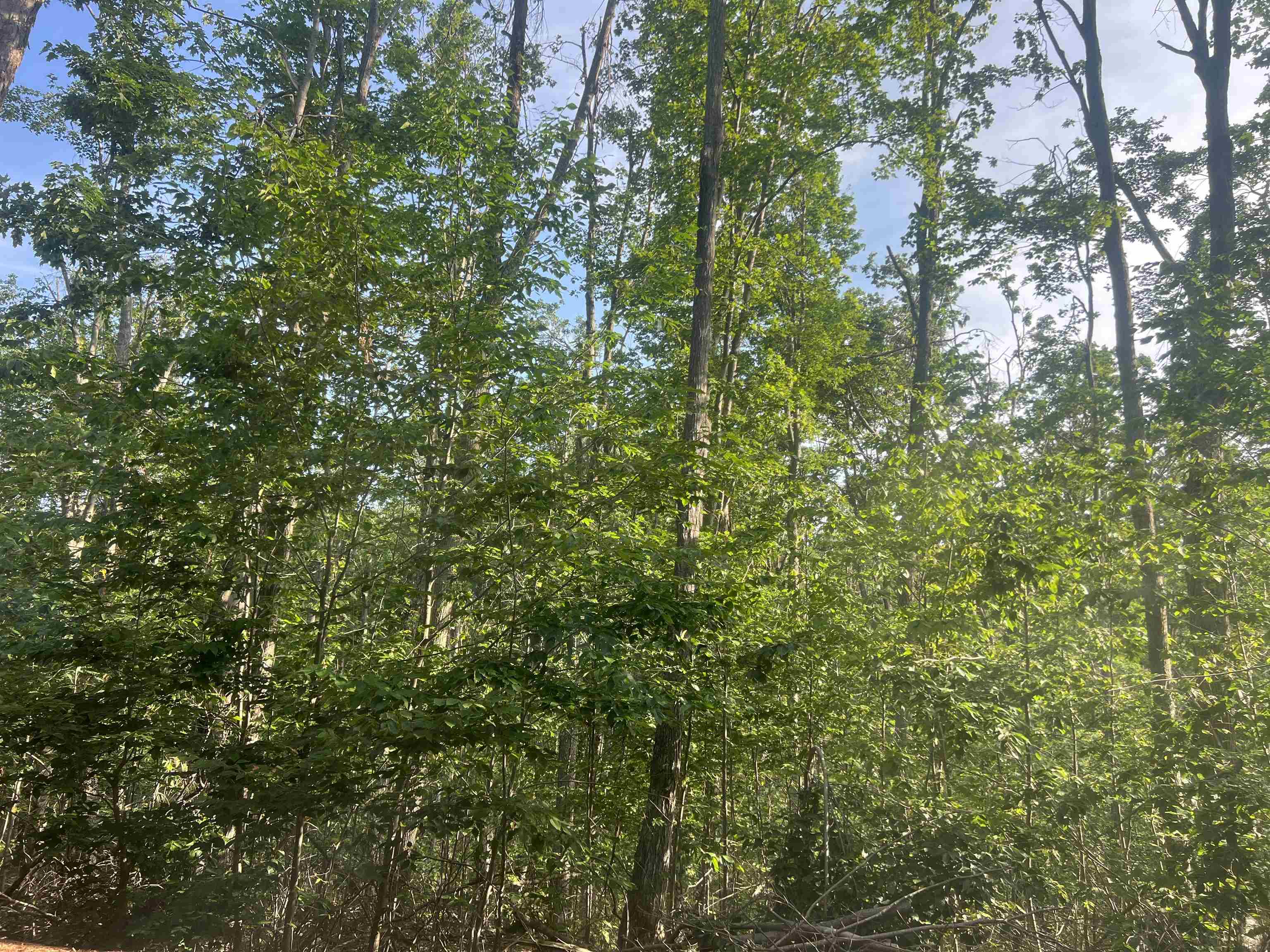 Lot 388 Wyndwood Drive photo 1