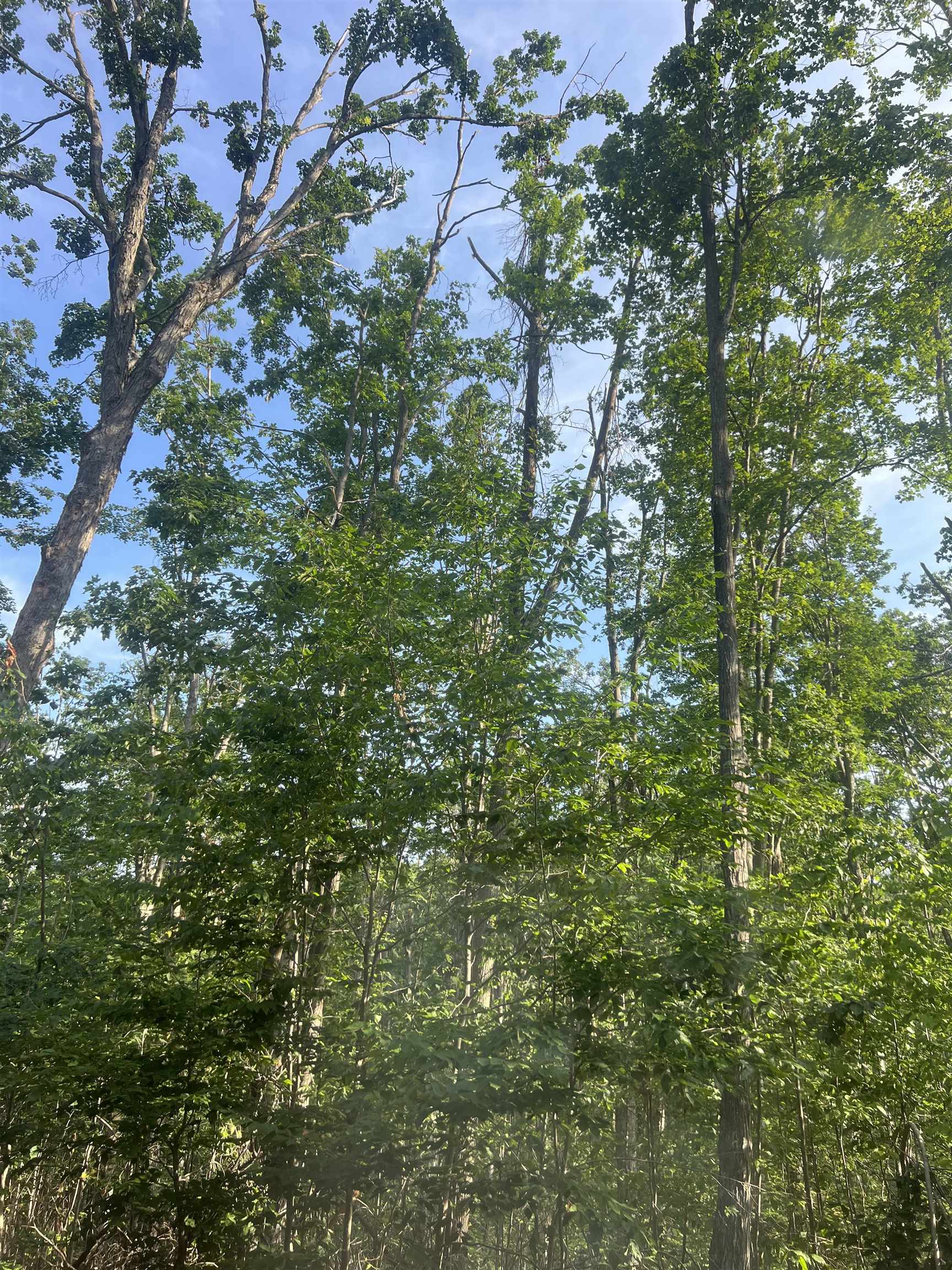 Lot 388 Wyndwood Drive photo 2
