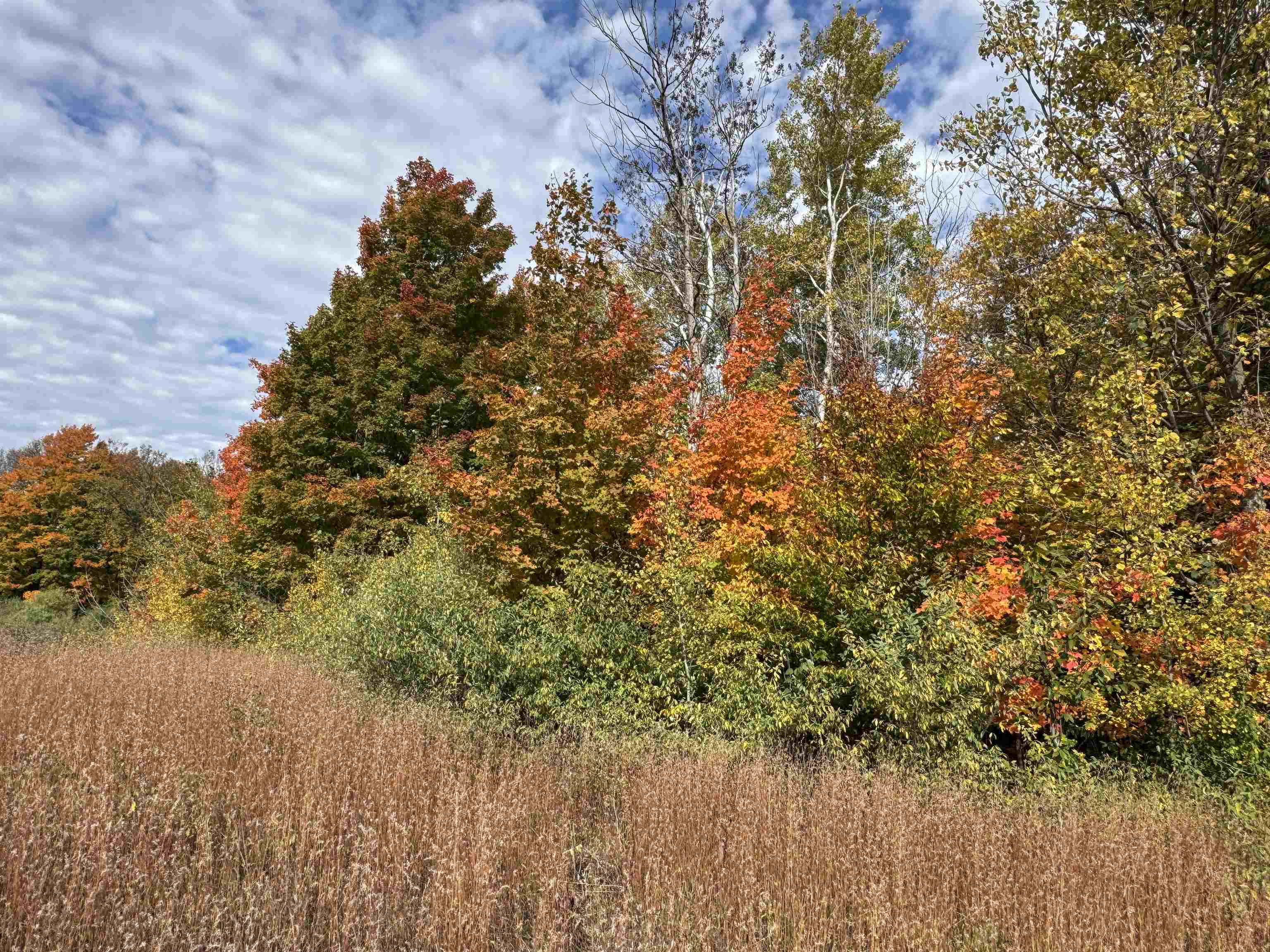 1.6 Acres January Drive, Traverse City, MI, 49684