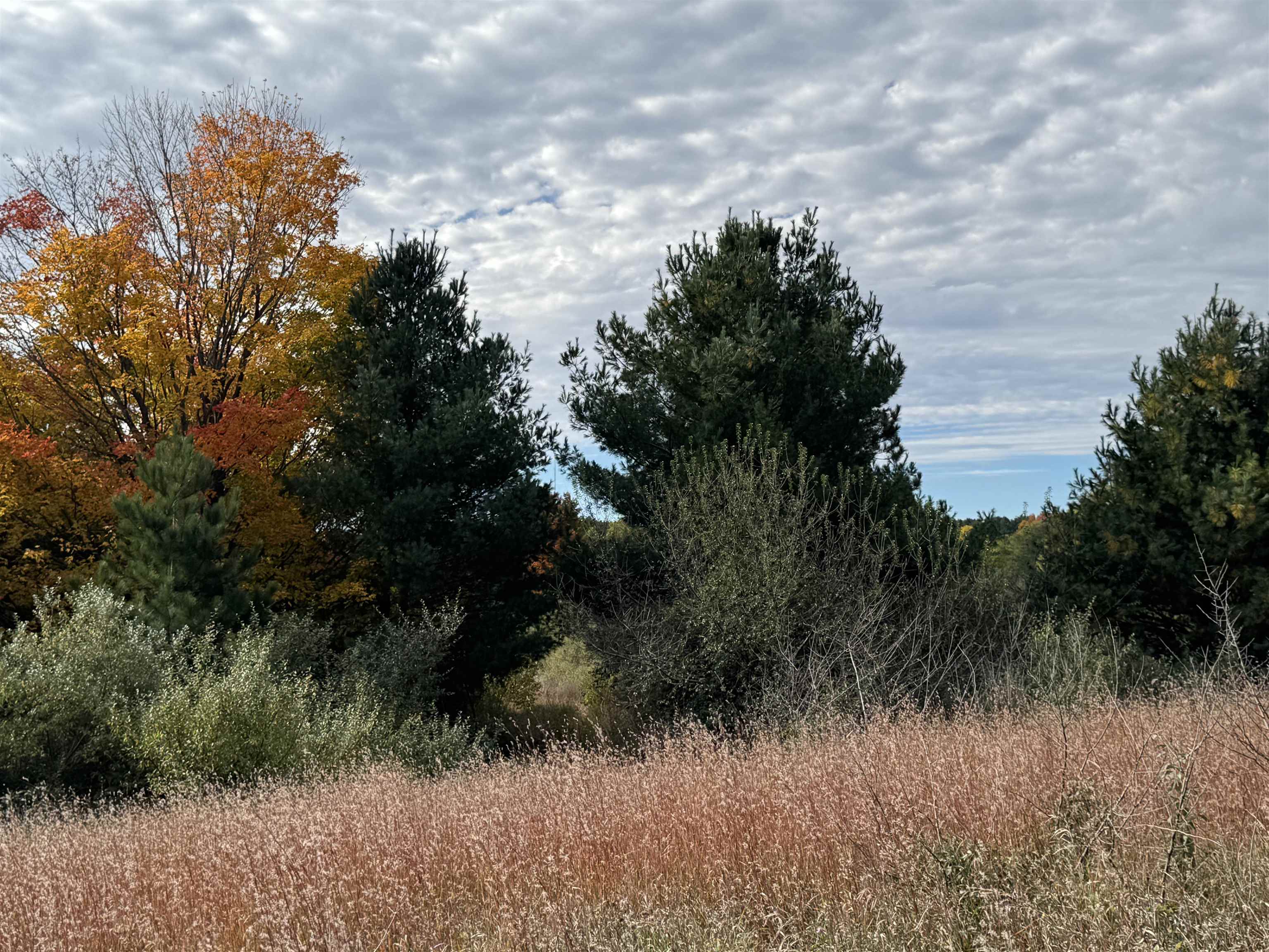 1.6 Acres January Drive, Traverse City, MI, 49684