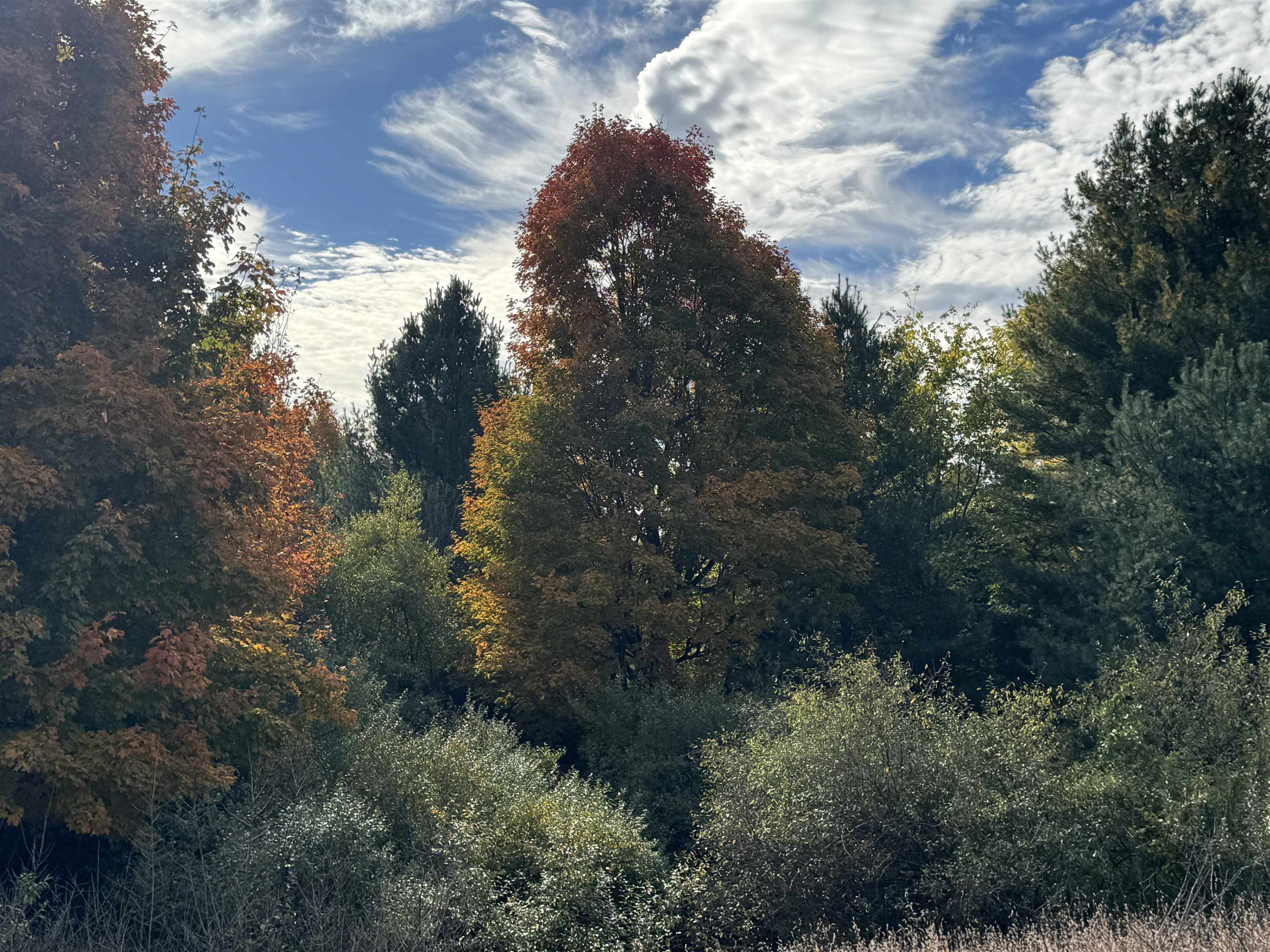 1.6 Acres January Drive, Traverse City, MI, 49684