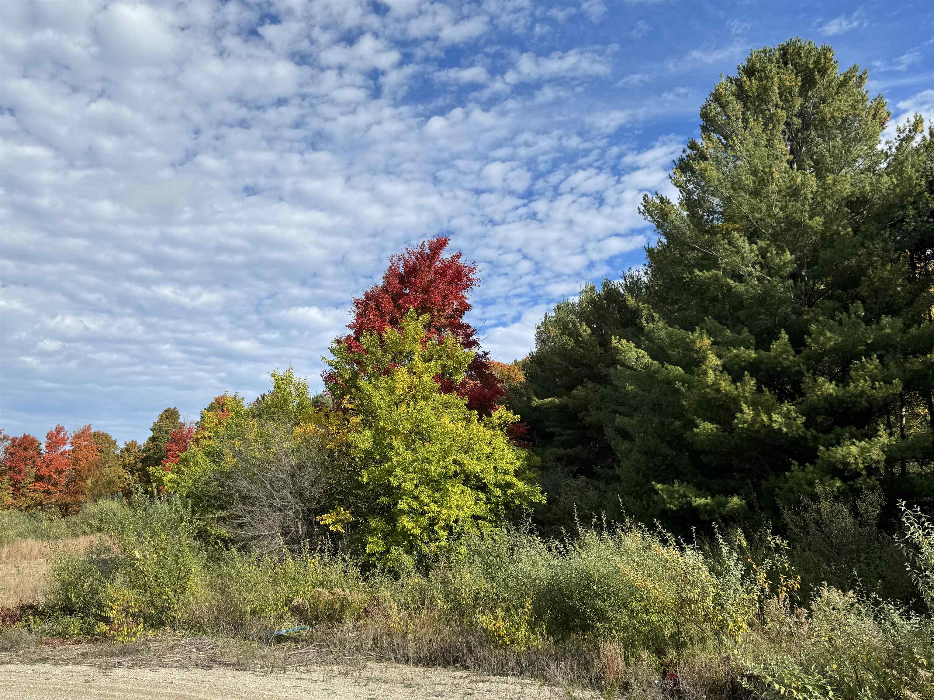 1.6 Acres January Drive, Traverse City, MI, 49684