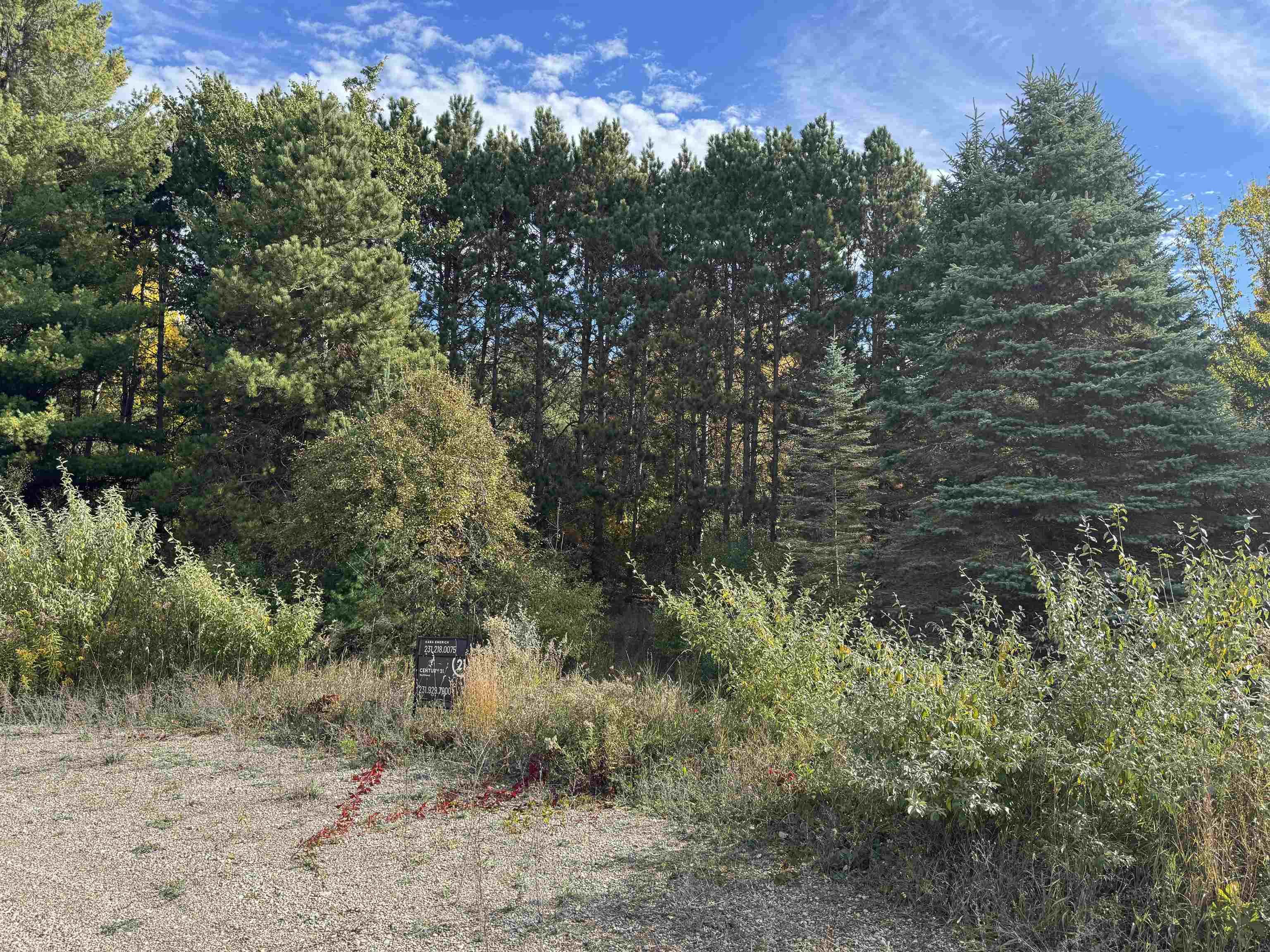 1.6 Acres January Drive, Traverse City, MI, 49684