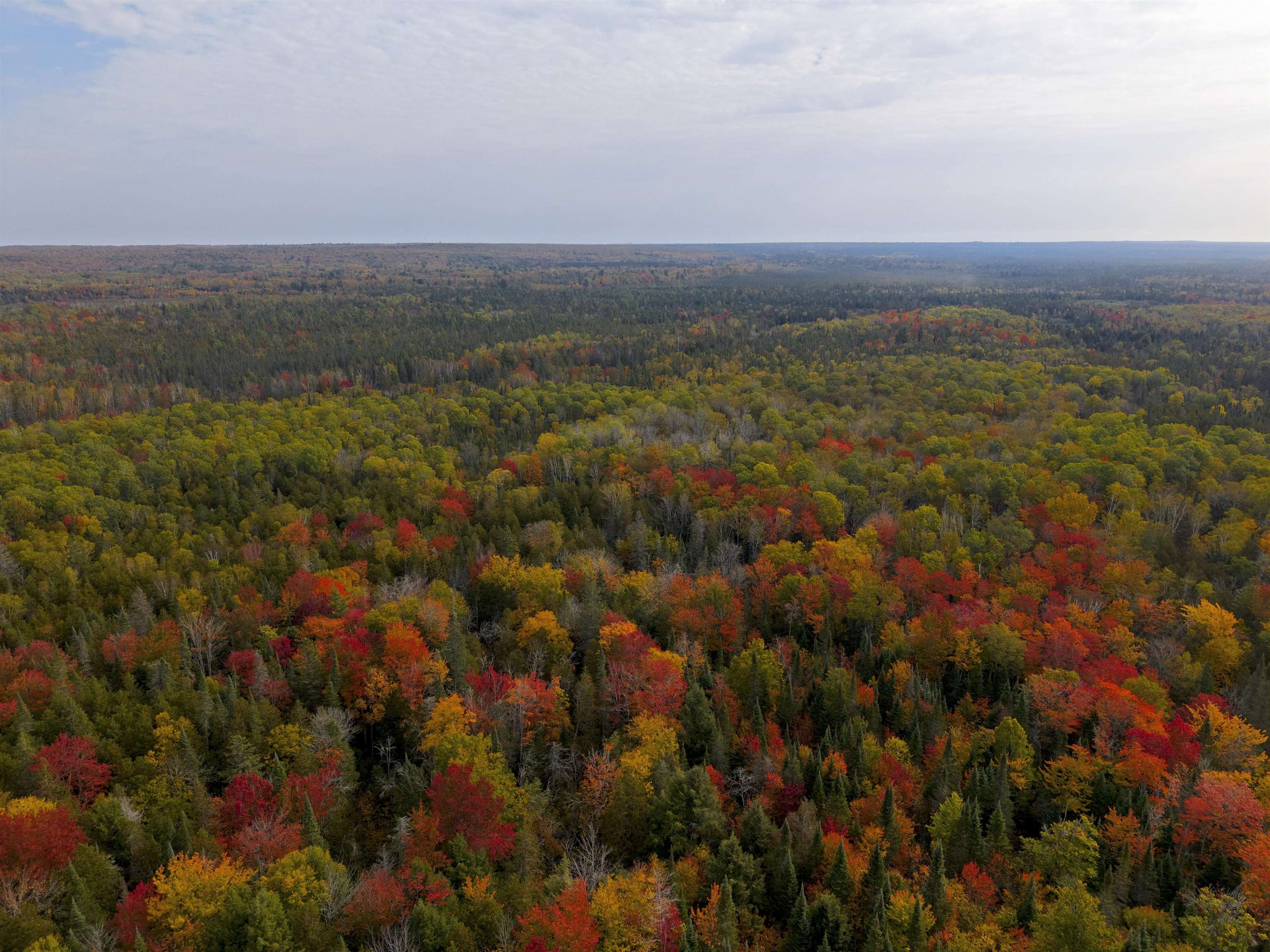 V/L M-117, Engadine, MI, 49827