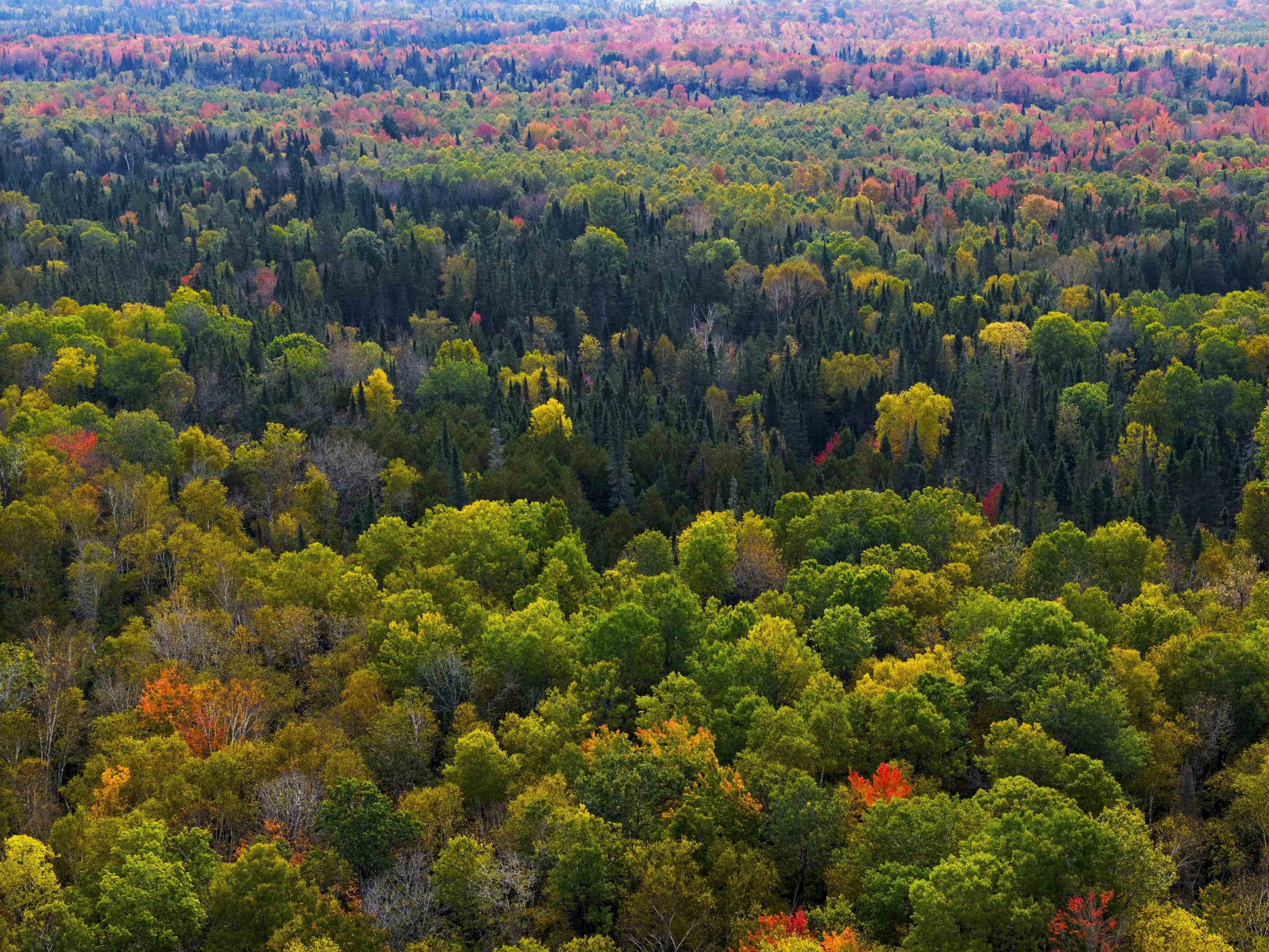 V/L M-117, Engadine, MI, 49827