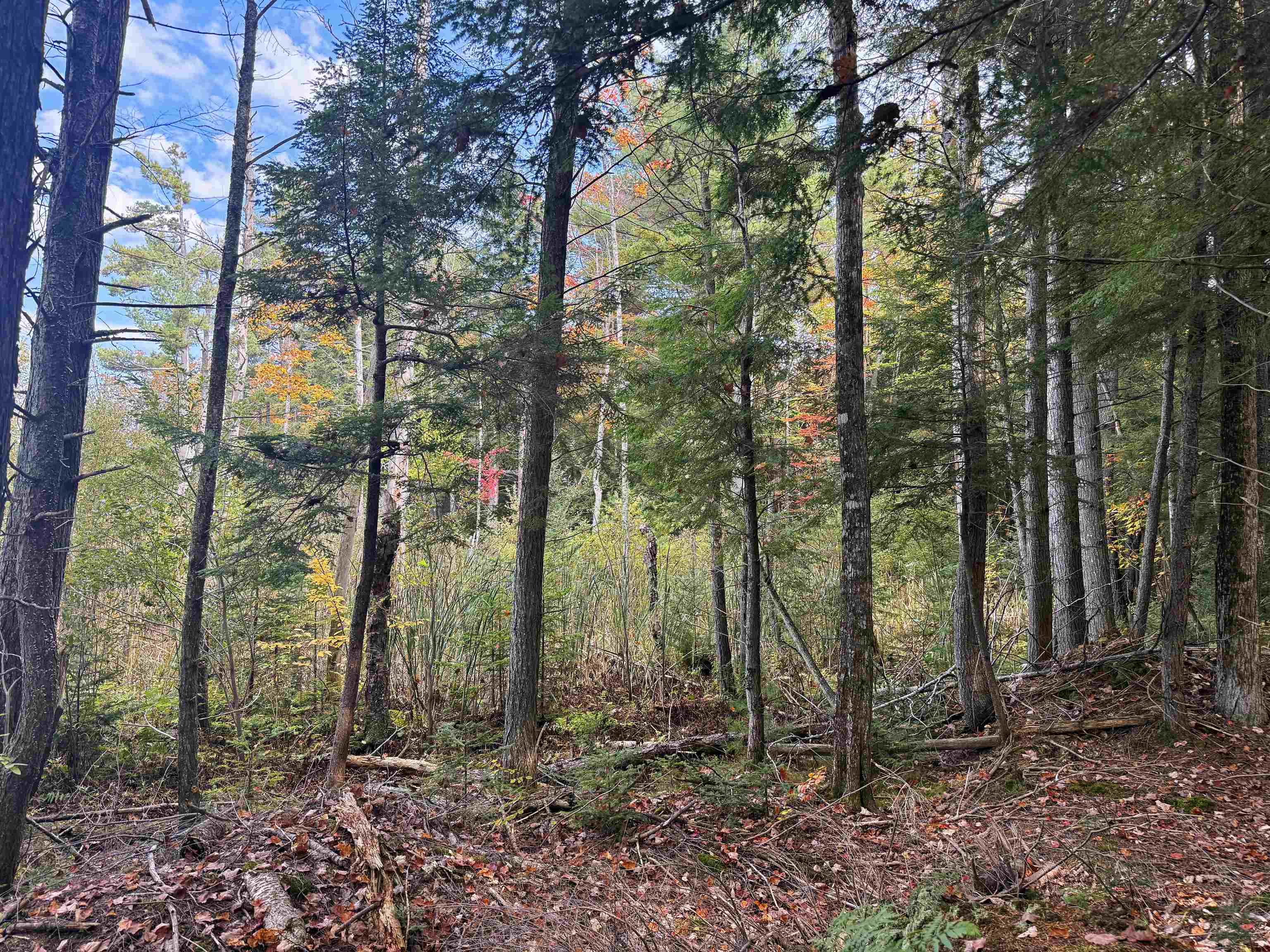 V/L M-117, Engadine, MI, 49827