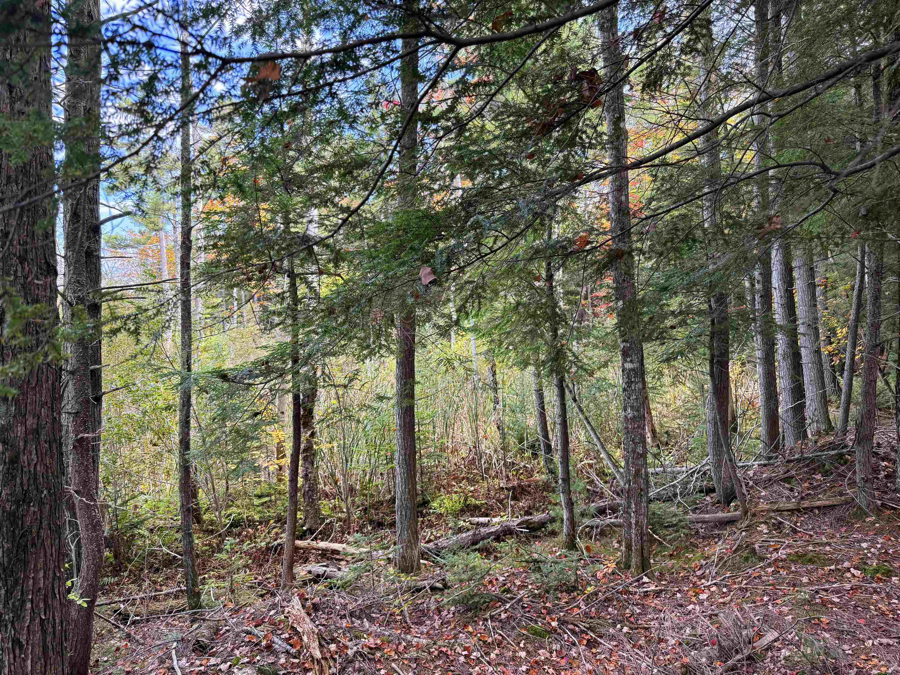 V/L M-117, Engadine, MI, 49827