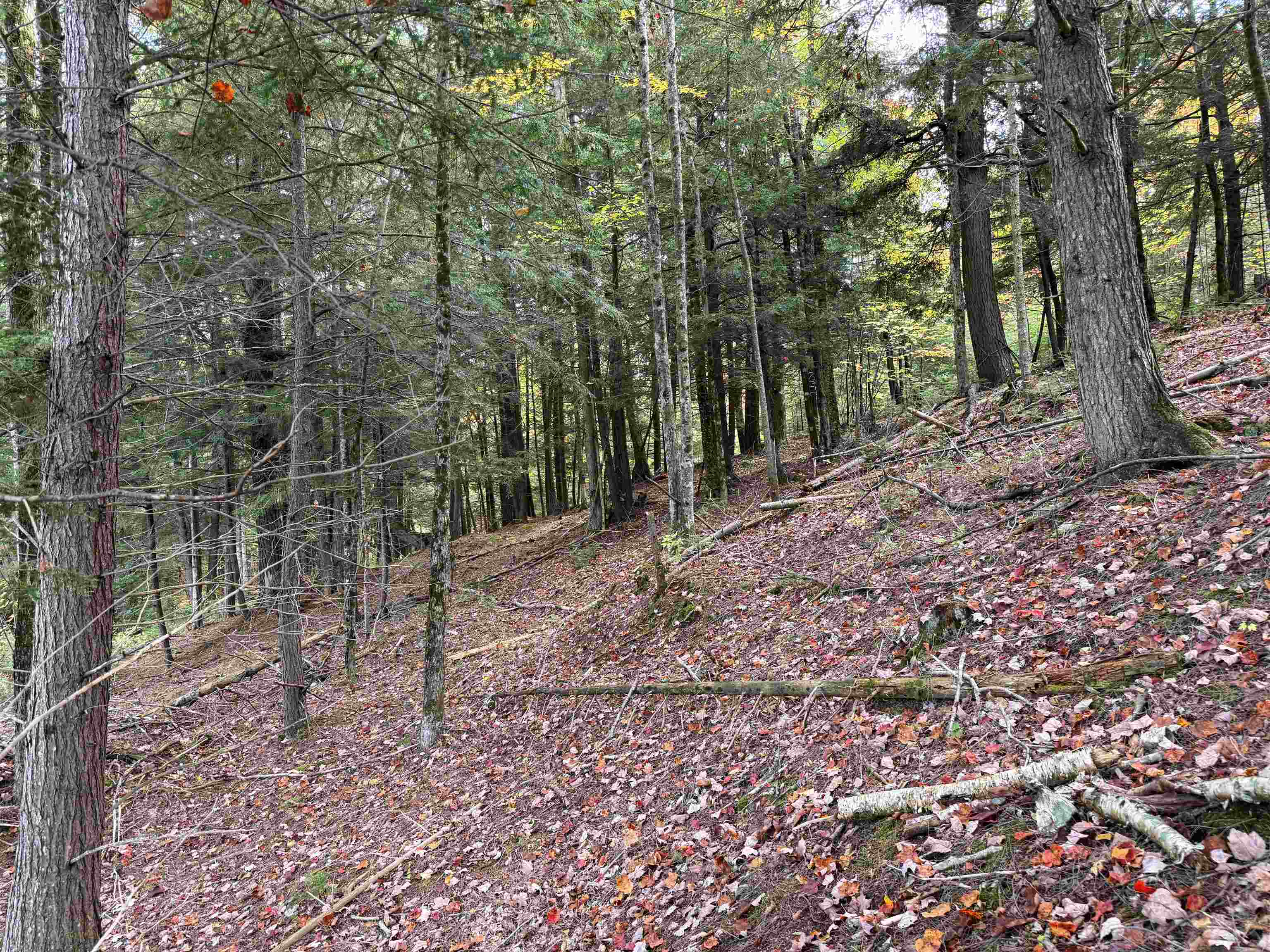 V/L M-117, Engadine, MI, 49827