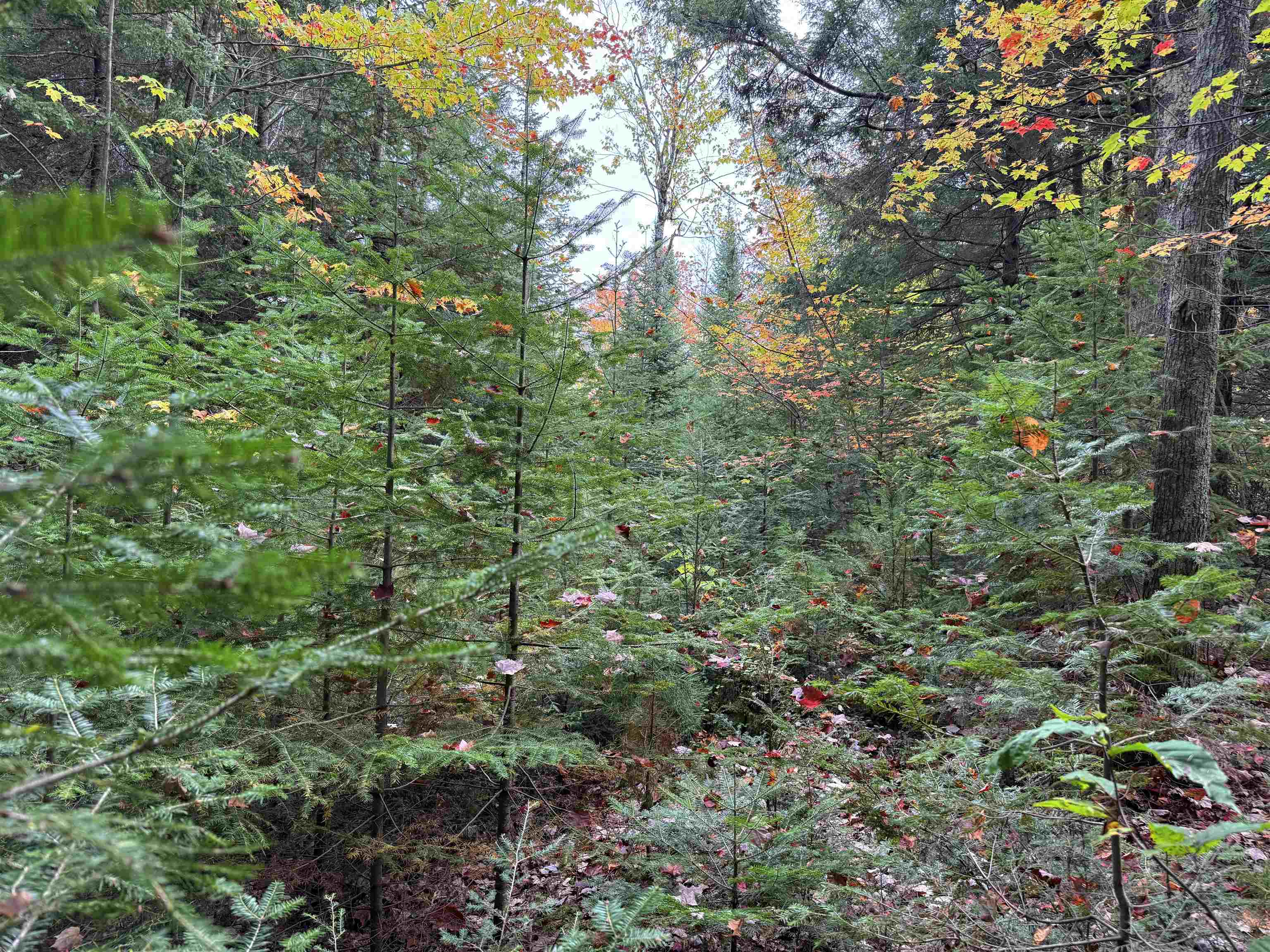 V/L M-117, Engadine, MI, 49827