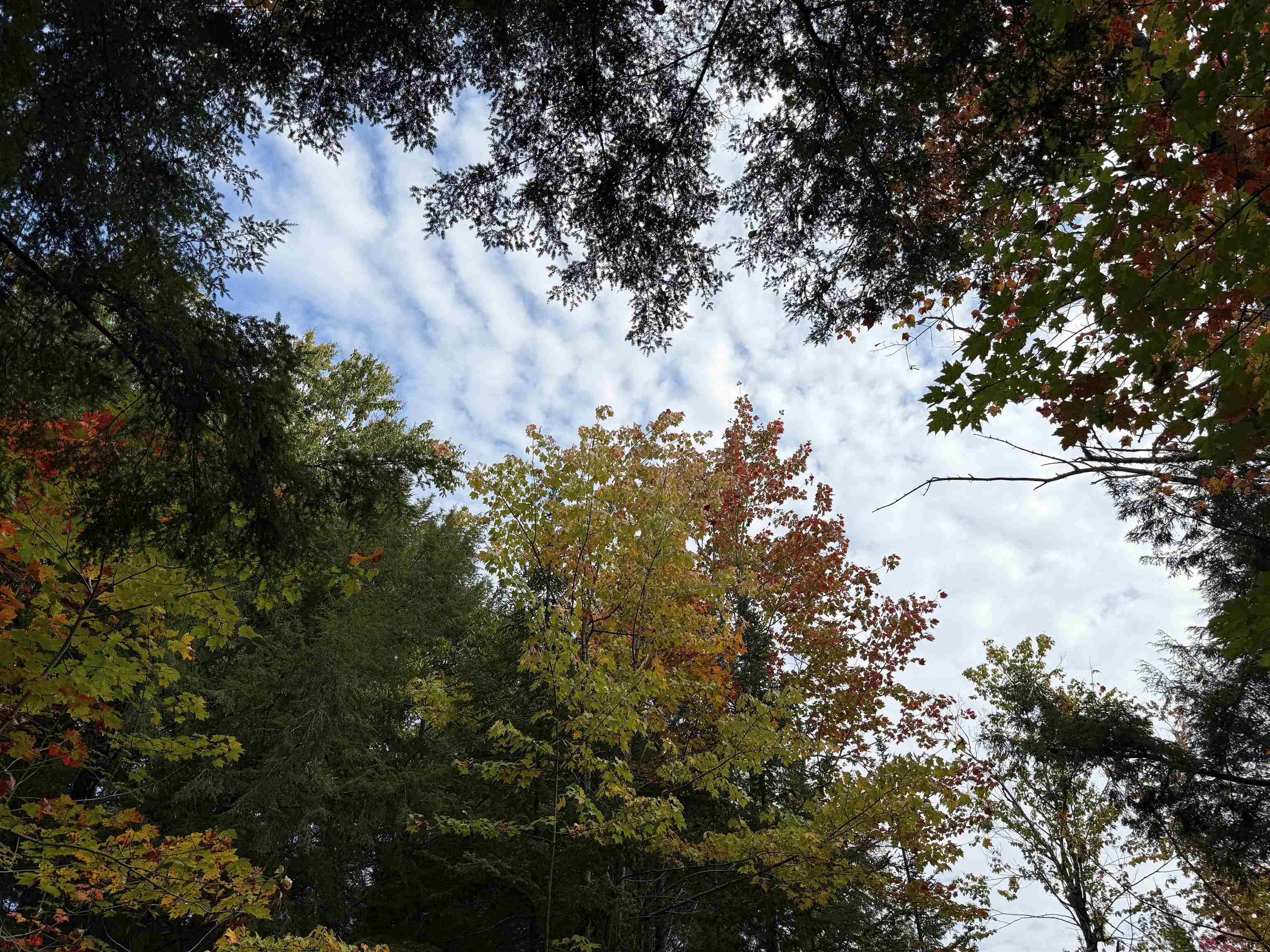 V/L M-117, Engadine, MI, 49827