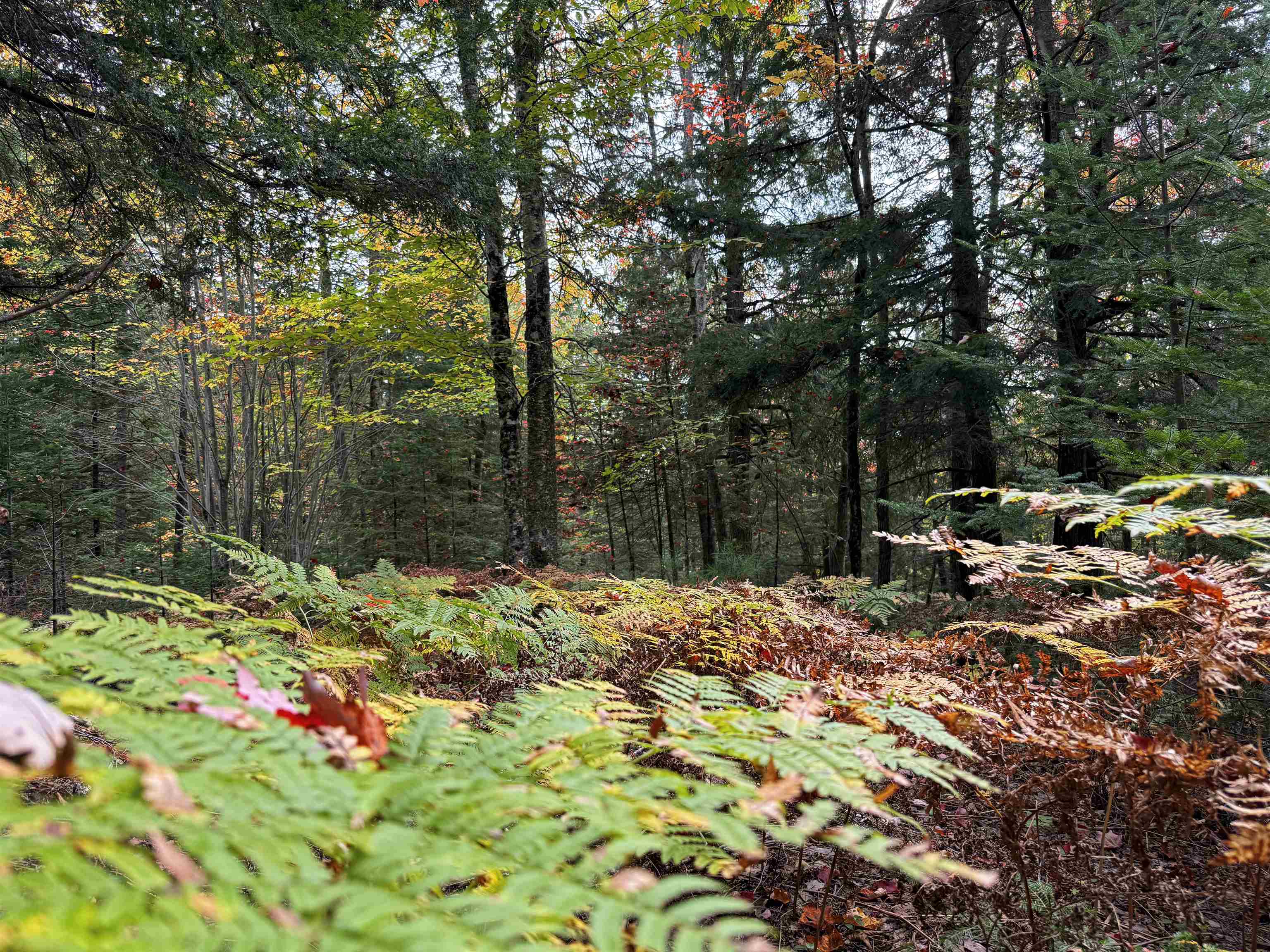 V/L M-117, Engadine, MI, 49827