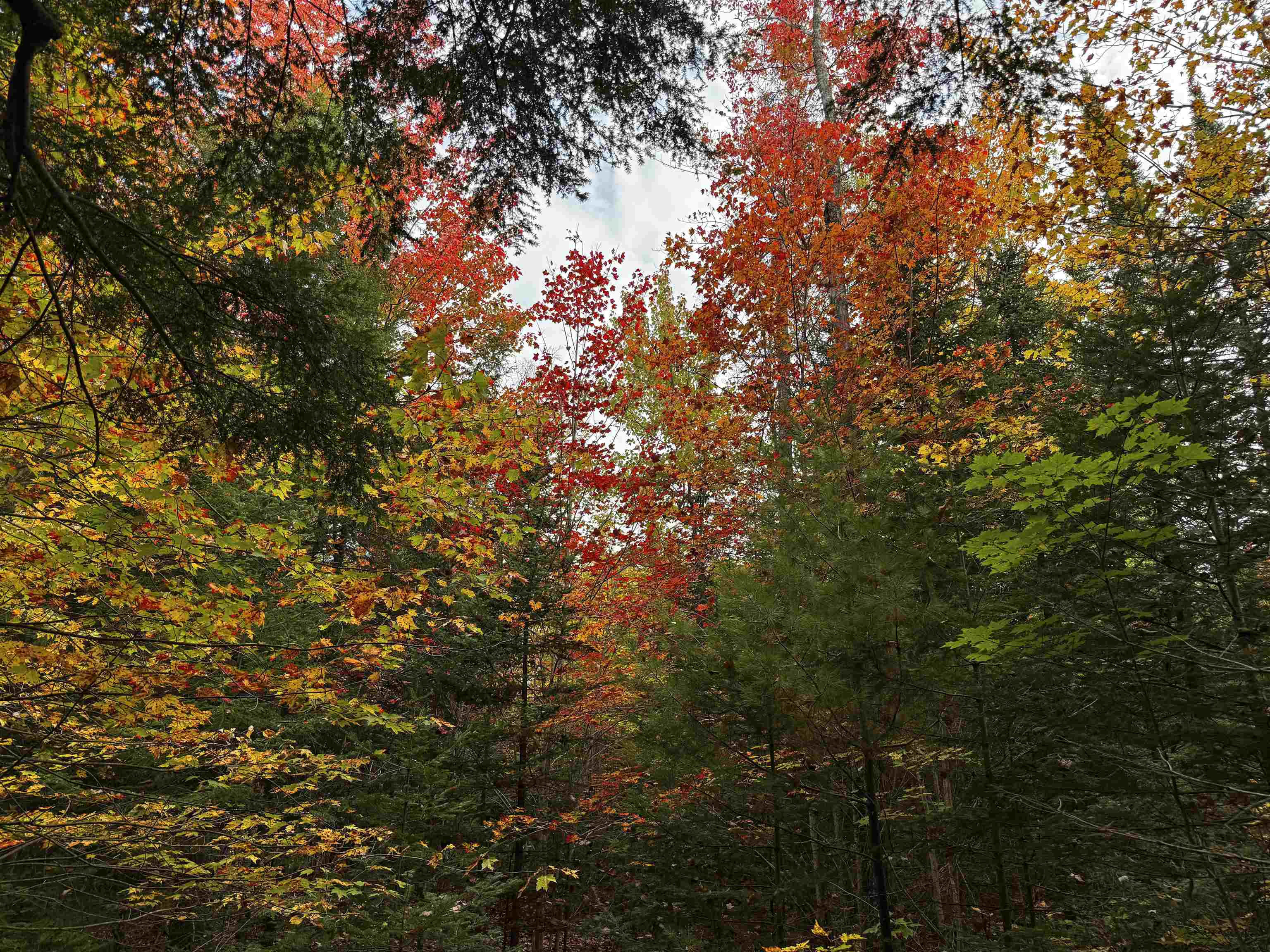 V/L M-117, Engadine, MI, 49827