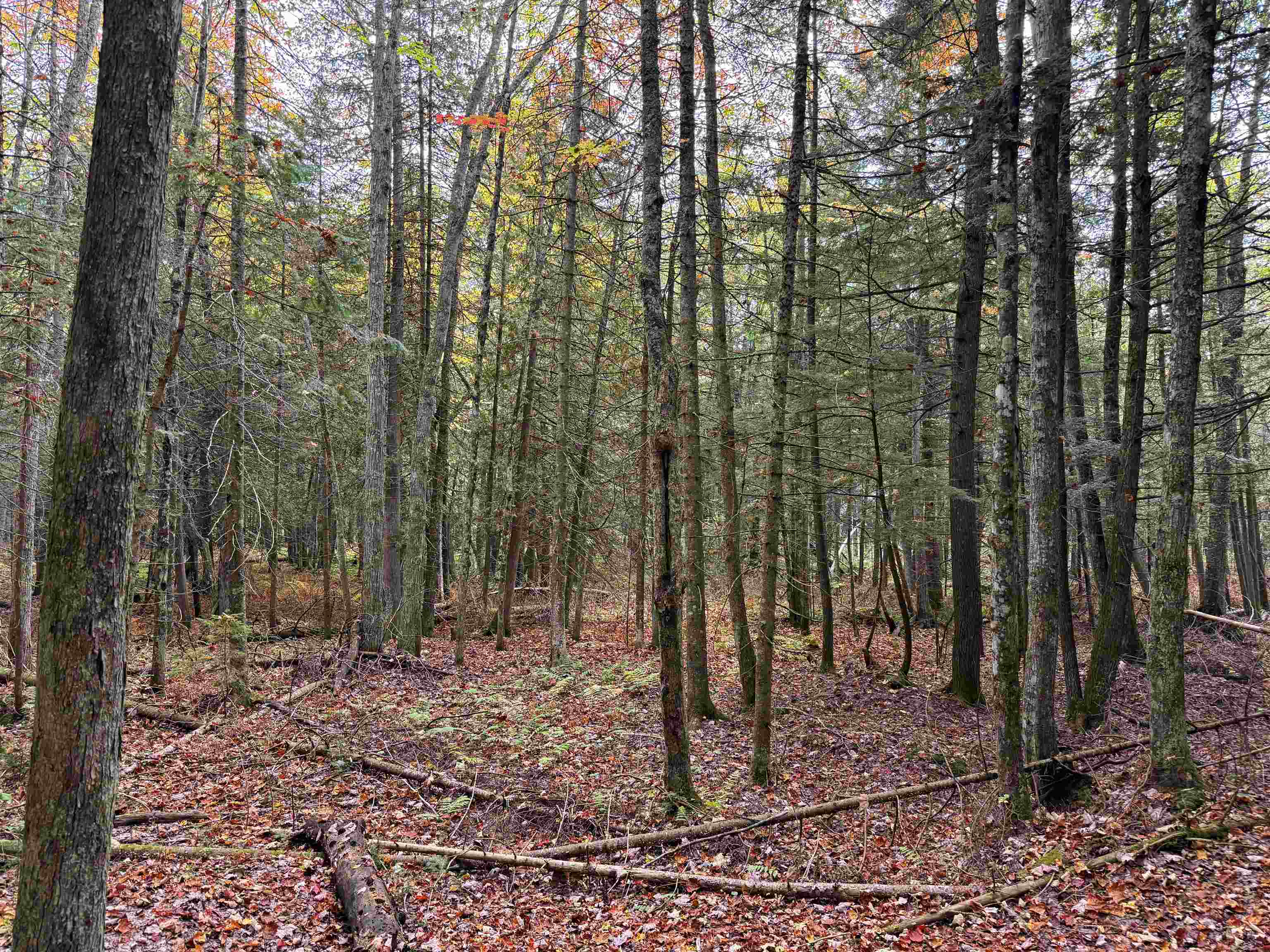 V/L M-117, Engadine, MI, 49827