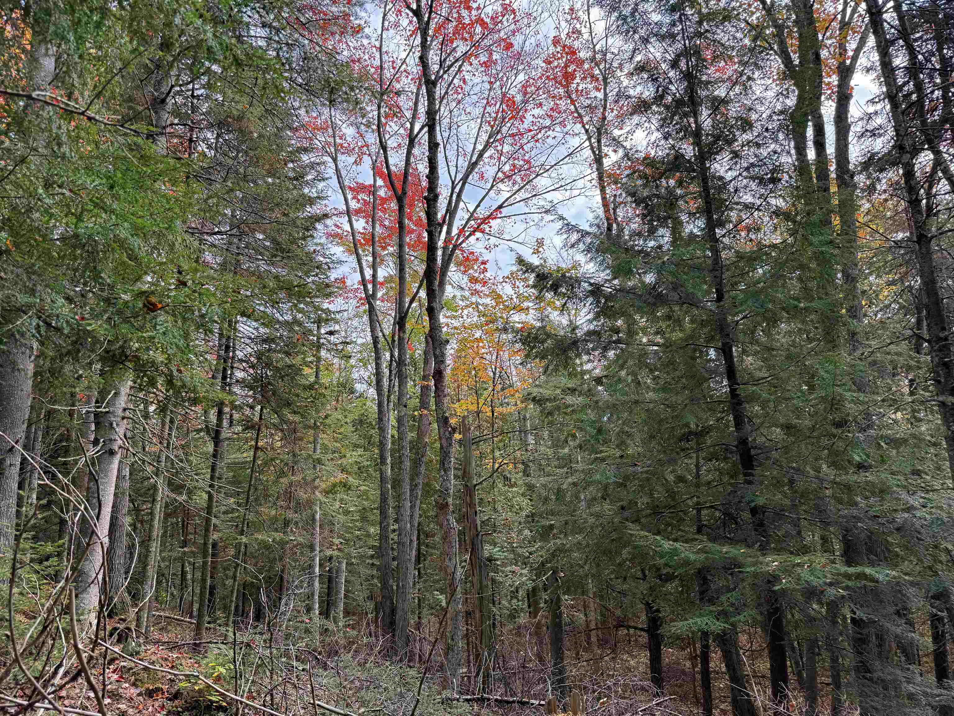 V/L M-117, Engadine, MI, 49827