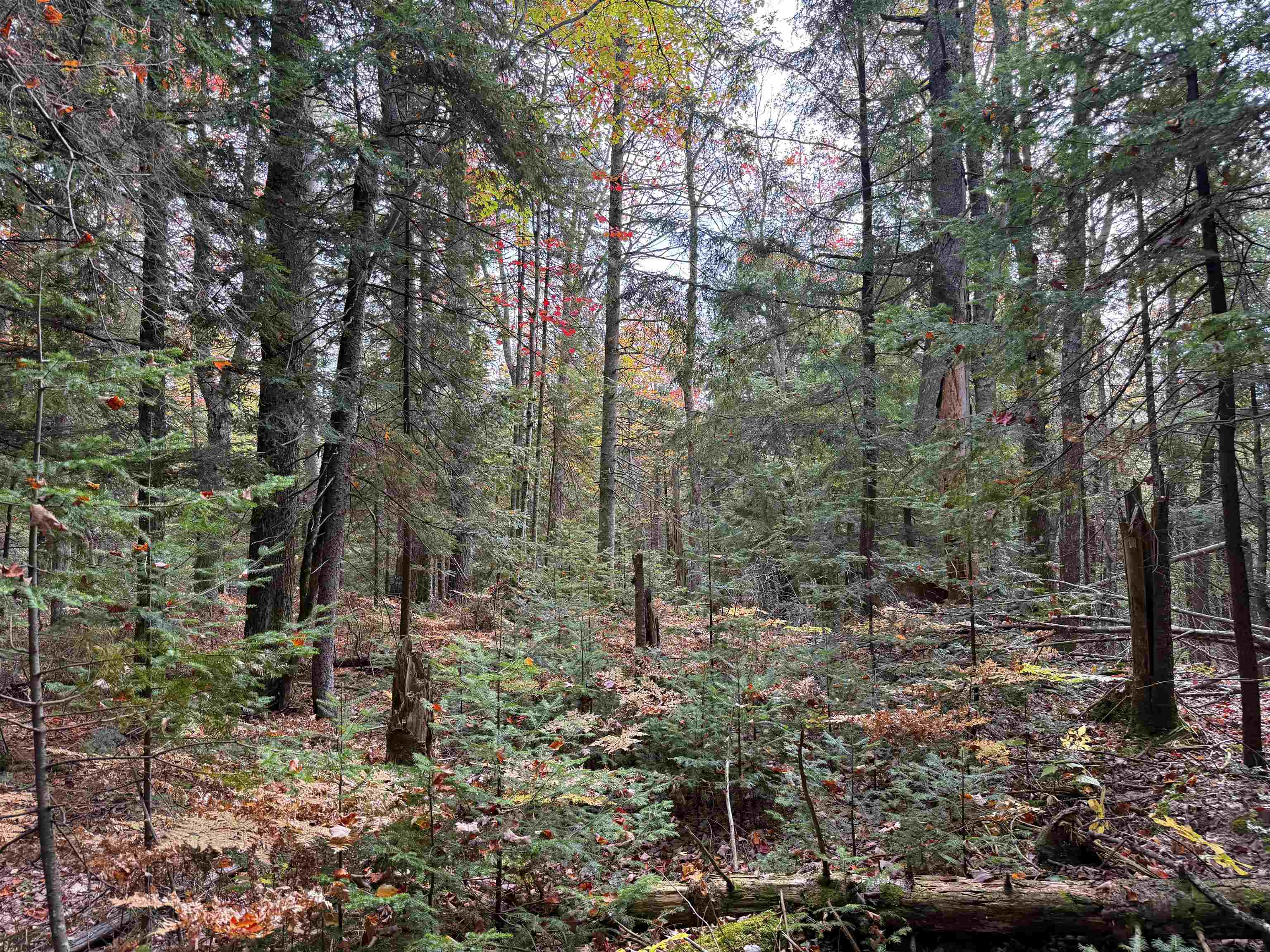 V/L M-117, Engadine, MI, 49827