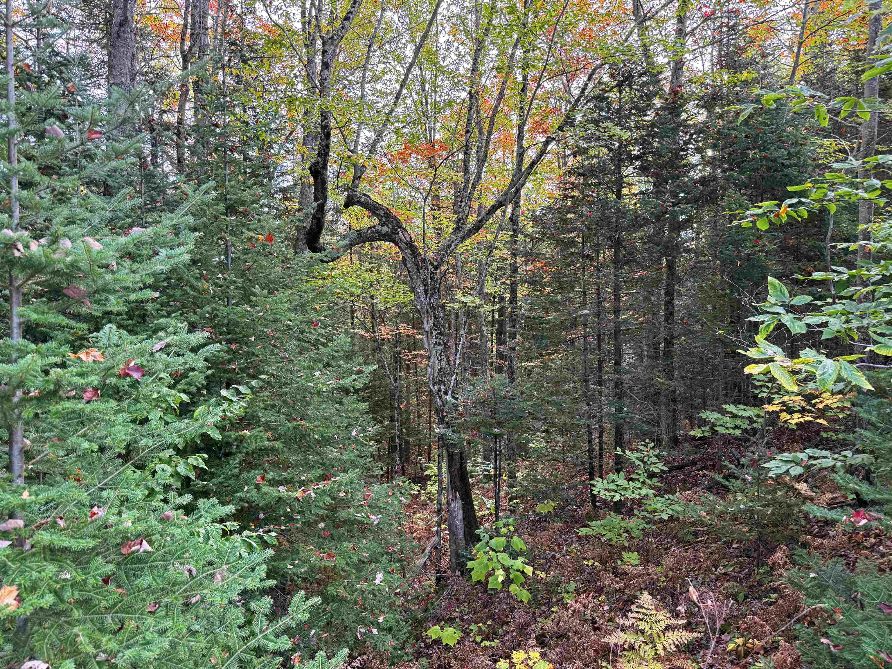 V/L M-117, Engadine, MI, 49827