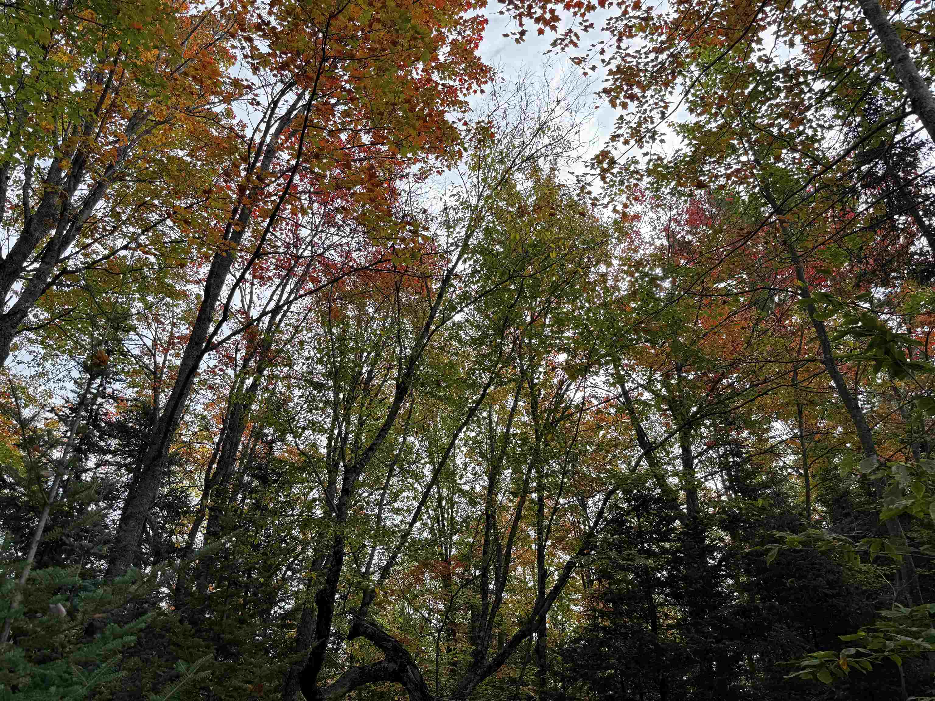 V/L M-117, Engadine, MI, 49827