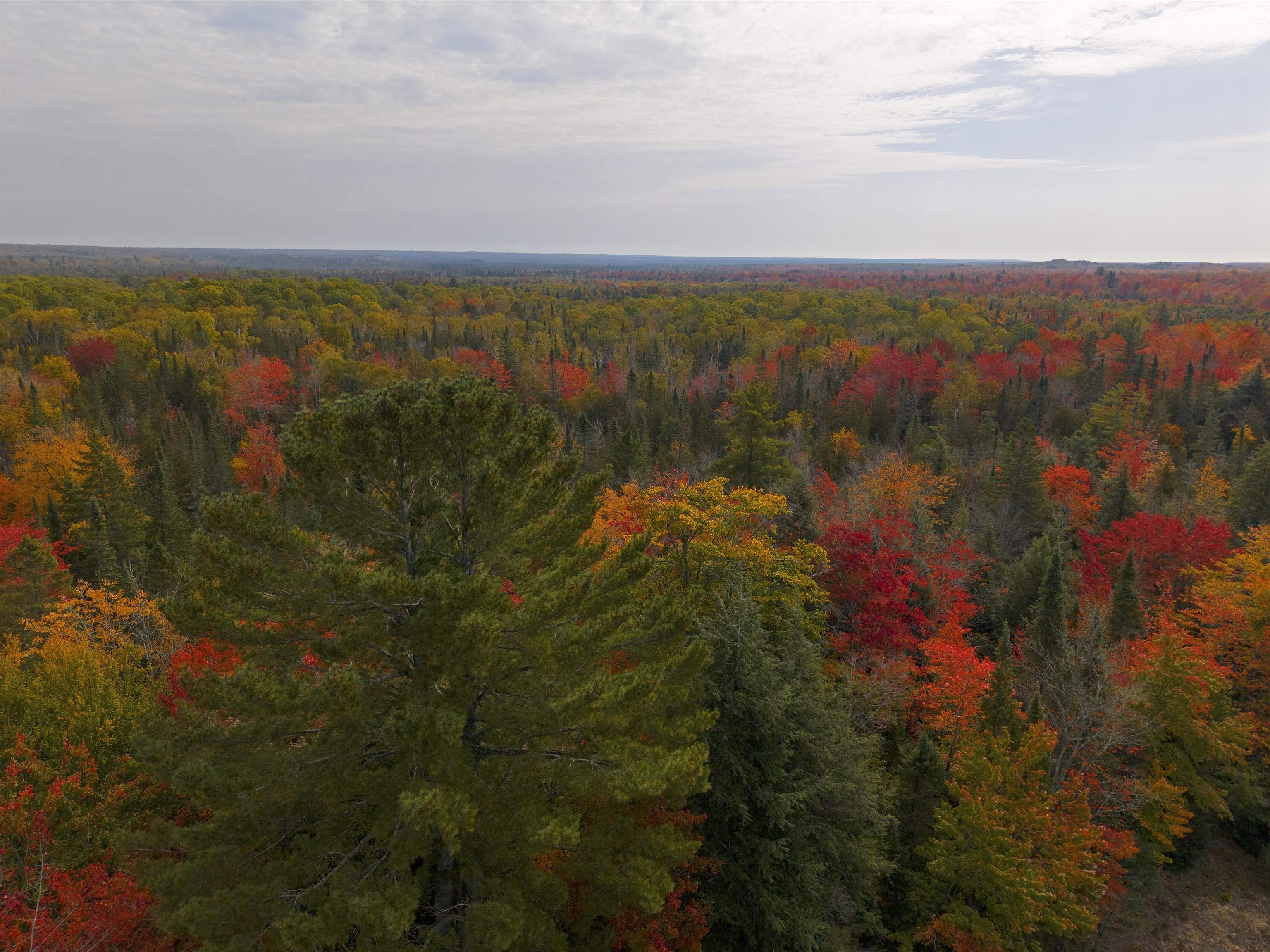 V/L M-117, Engadine, MI, 49827