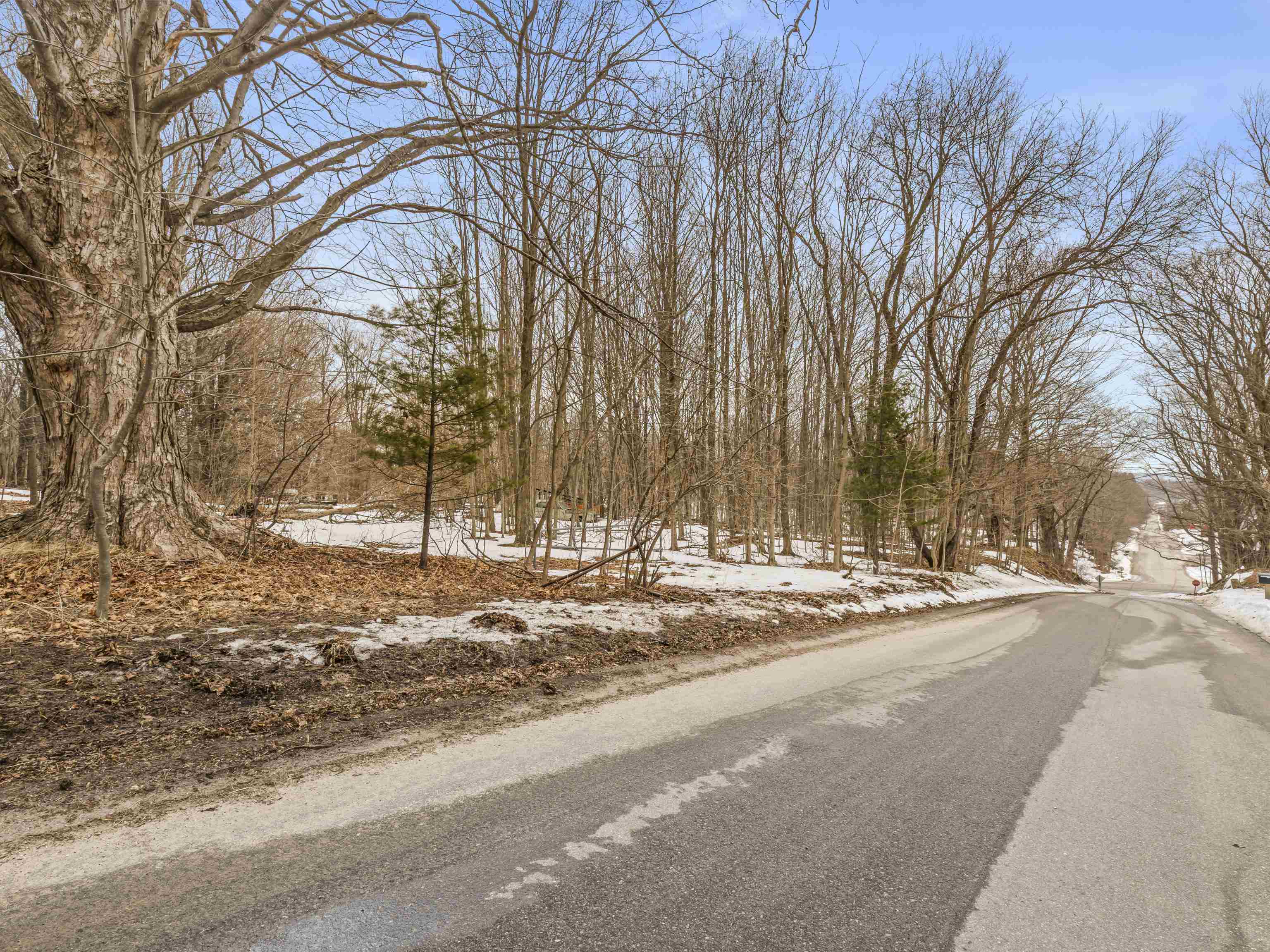 Elm Street, Frankfort, MI, 49635