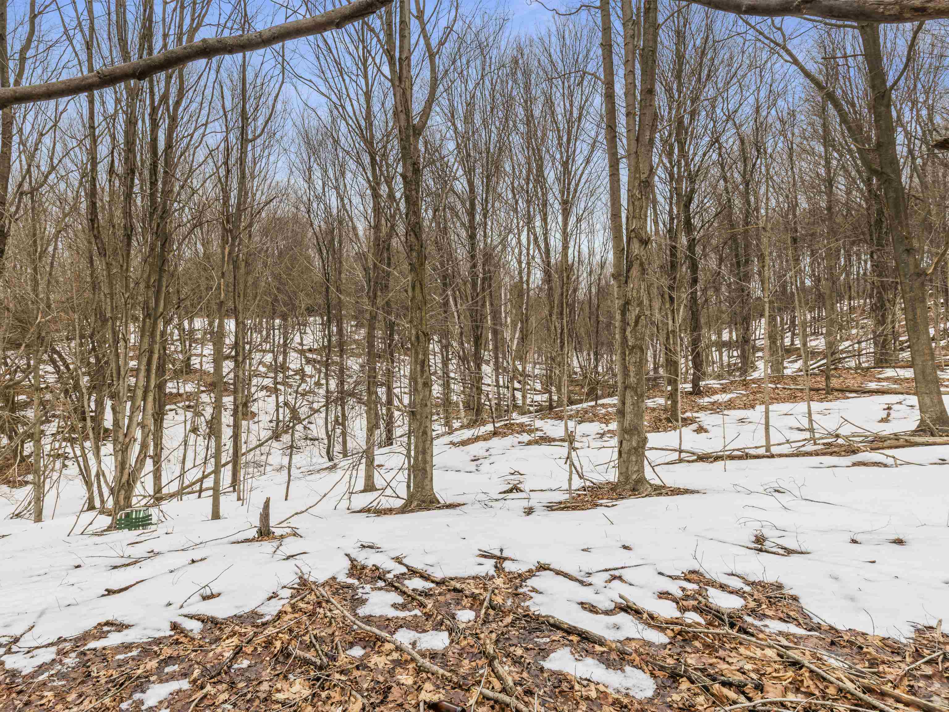 Elm Street, Frankfort, MI, 49635