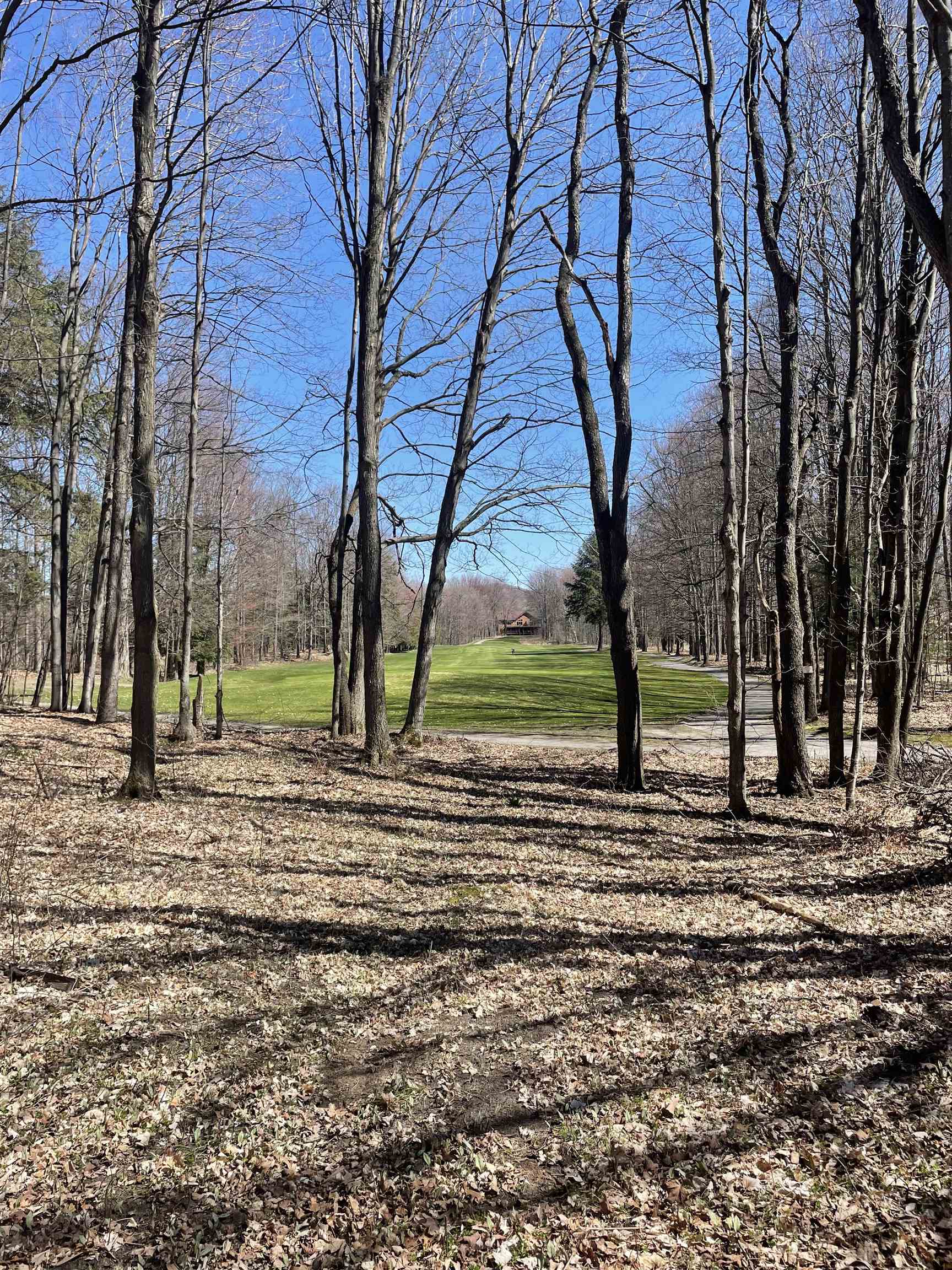 2500 Josef Strasse UNIT&nbsp;442, Bellaire, MI, 49615