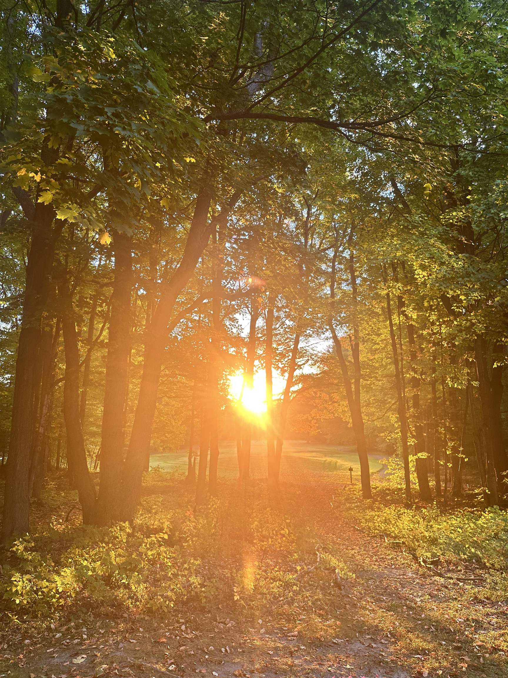 2500 Josef Strasse UNIT&nbsp;442, Bellaire, MI, 49615