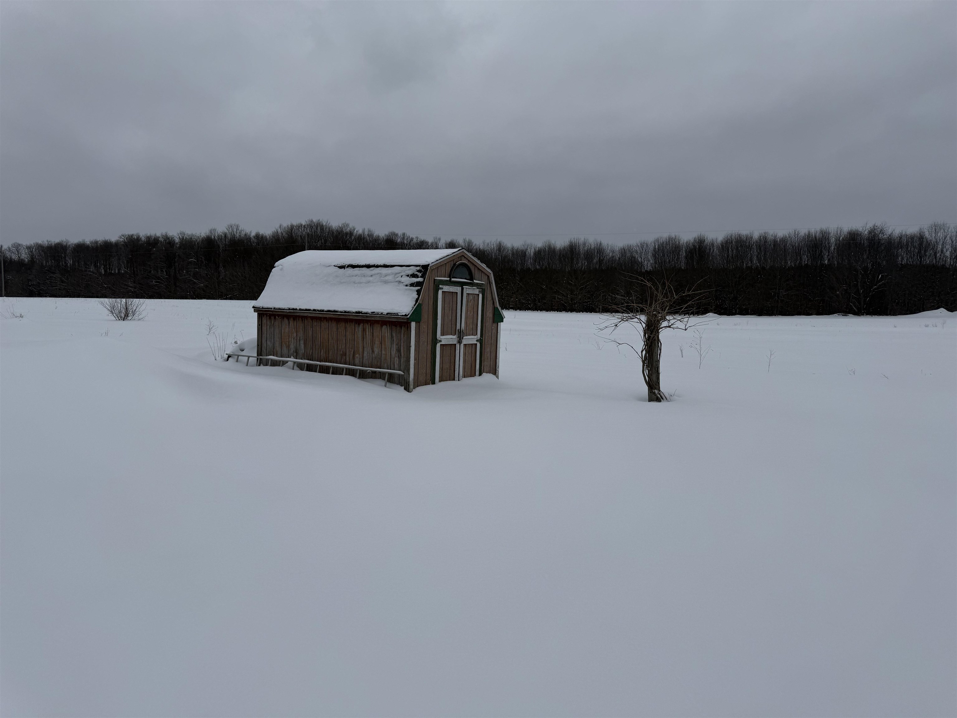 20347 Faylor Road, Copemish, MI, 49625