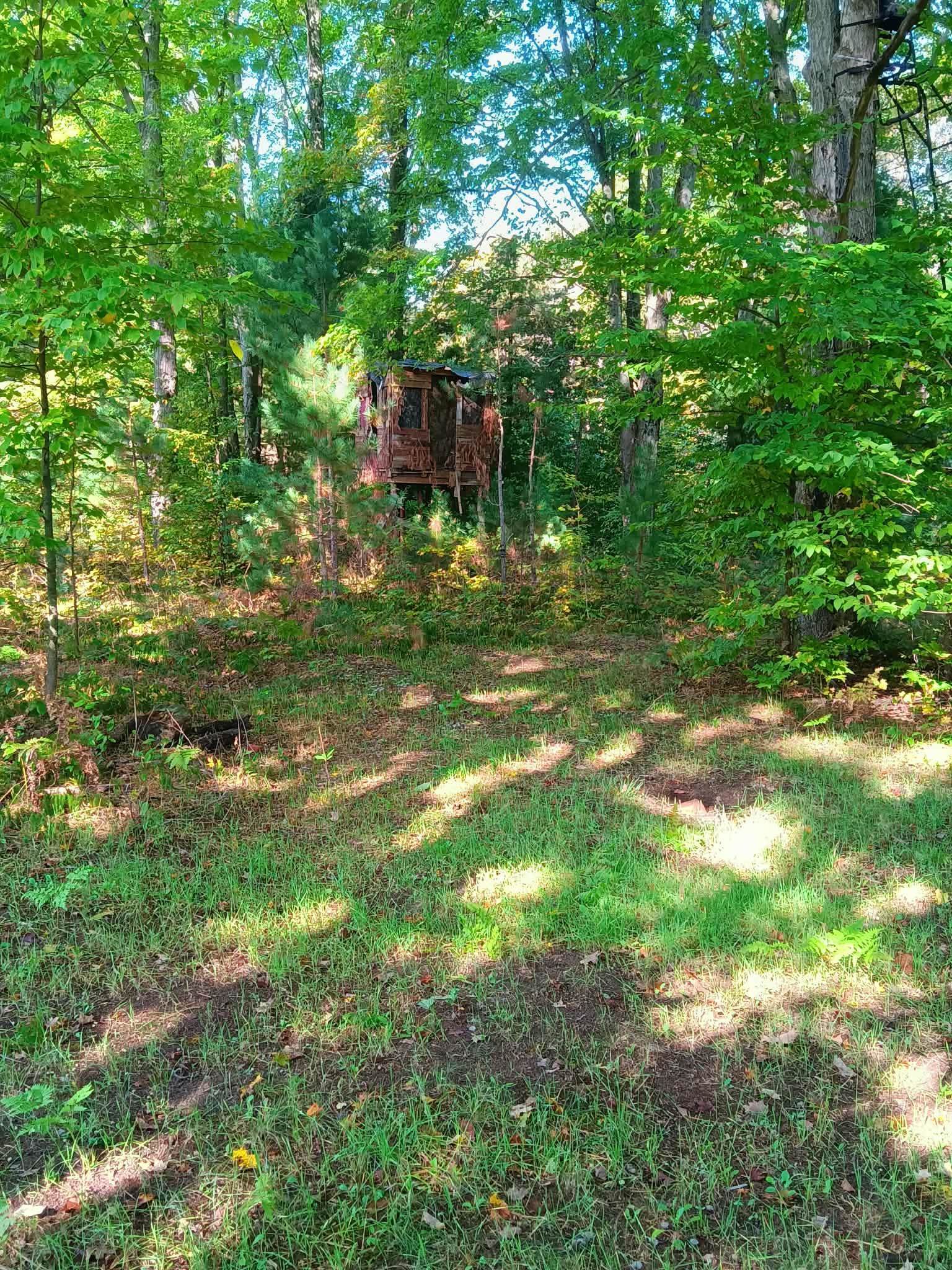 13544 Aylsworth Road, Beulah, MI, 49617